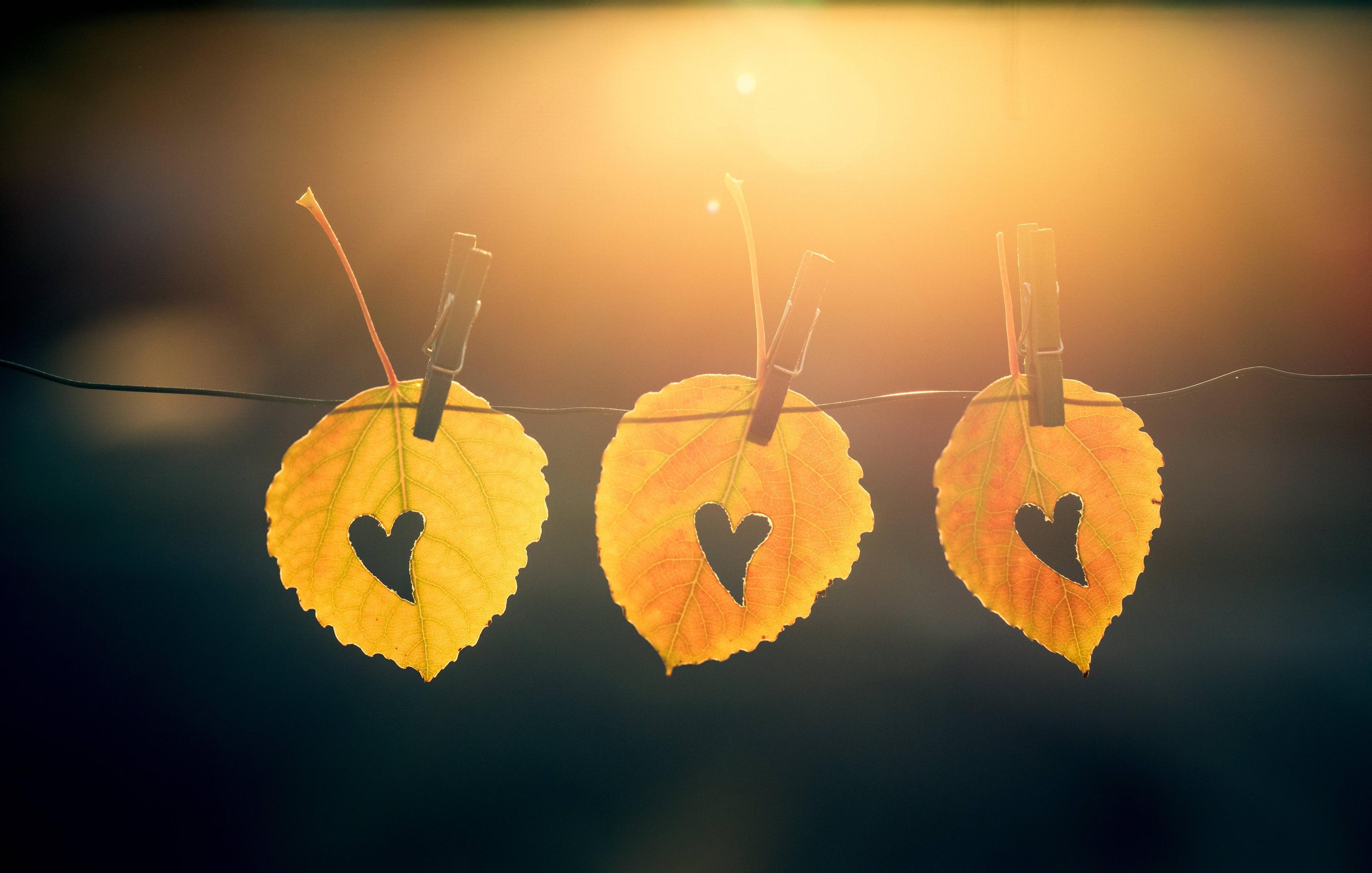 Fall Heart Wallpapers - Top Free Fall Heart Backgrounds - WallpaperAccess