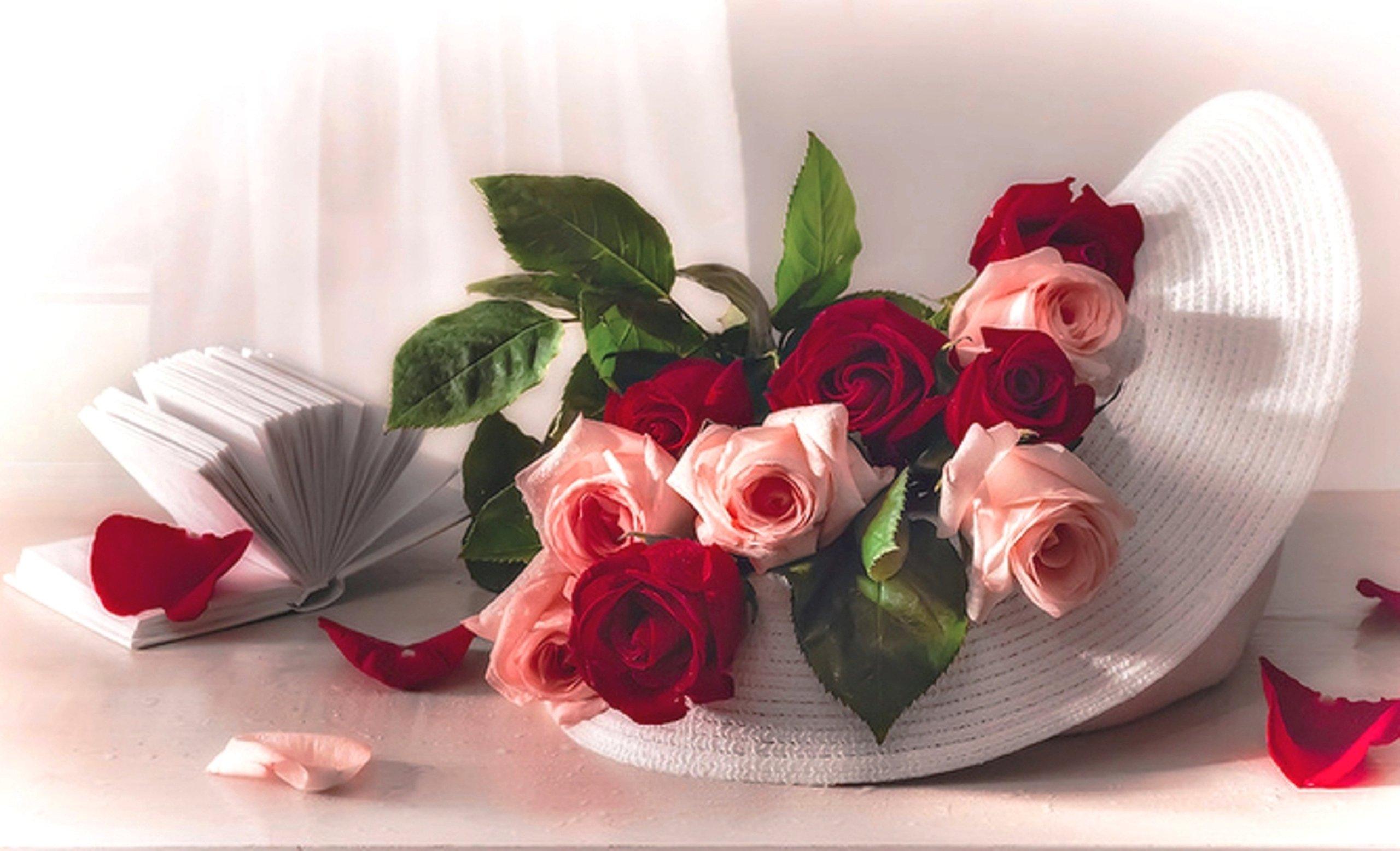 2560x1556 romance, Love, Sun, Still, Life, Summer, Petals, Beauty, Delicate, Red, Soft, Hat, Floral, Memories, Beautiful, White, Flowers, Gift, Book, Roses, Nature, Pink, Last, Natural Wallpaper HD / Desktop and Mobile Background