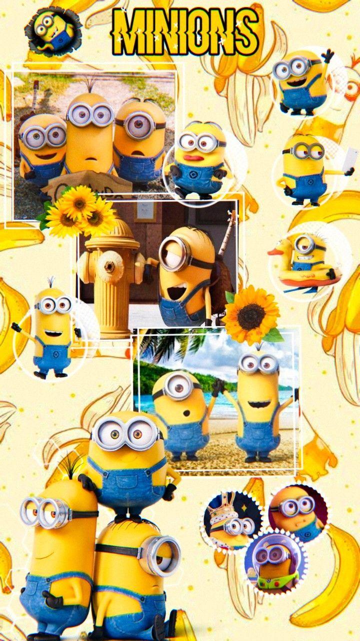720x1280 Minions. Minions bonitos, Wallpaper de minion, Cosas de minions