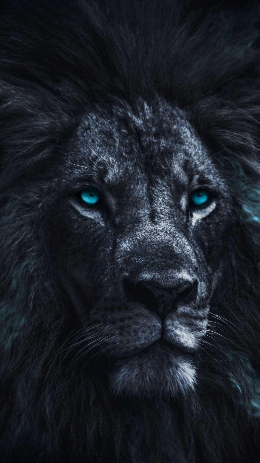 900x1600 iPhone Wallpaper for iPhone iPhone iPhone X, iPhone XR, iPhone 8 Plus High Quality Wallpaper, iPad Background. Lion eyes, Lion image, Lion wallpaper