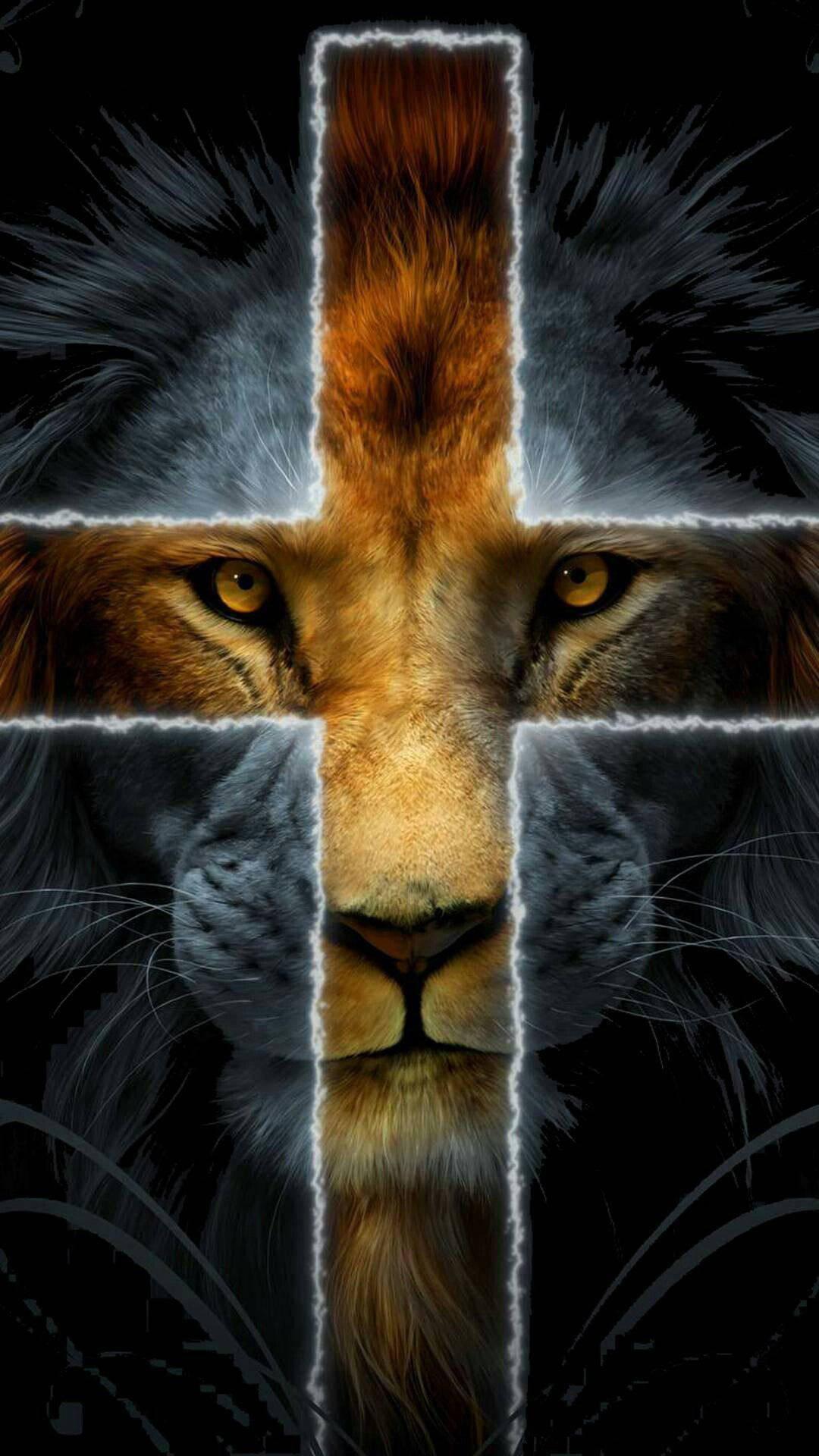 1080x1920 Free Lion iPhone Wallpaper Downloads, Lion iPhone Wallpaper for FREE