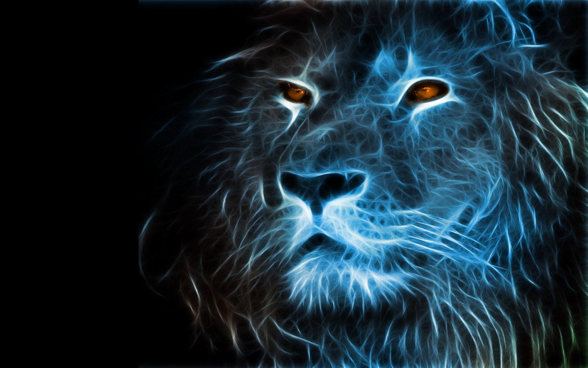1920x1200 lions, animals Gallery HD Wallpaper