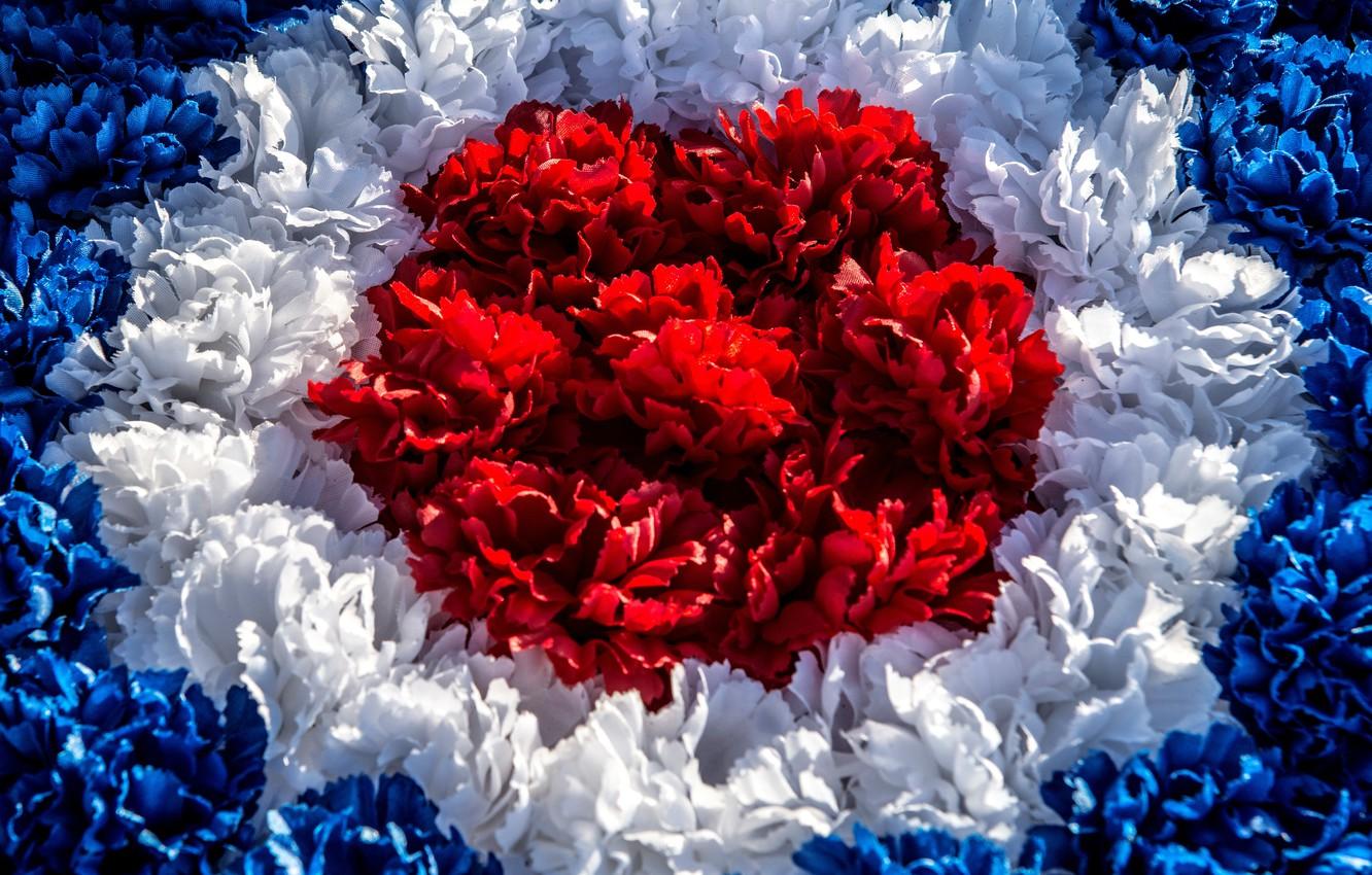 1332x850 Wallpaper red, white, texture, blue image for desktop, section текстуры