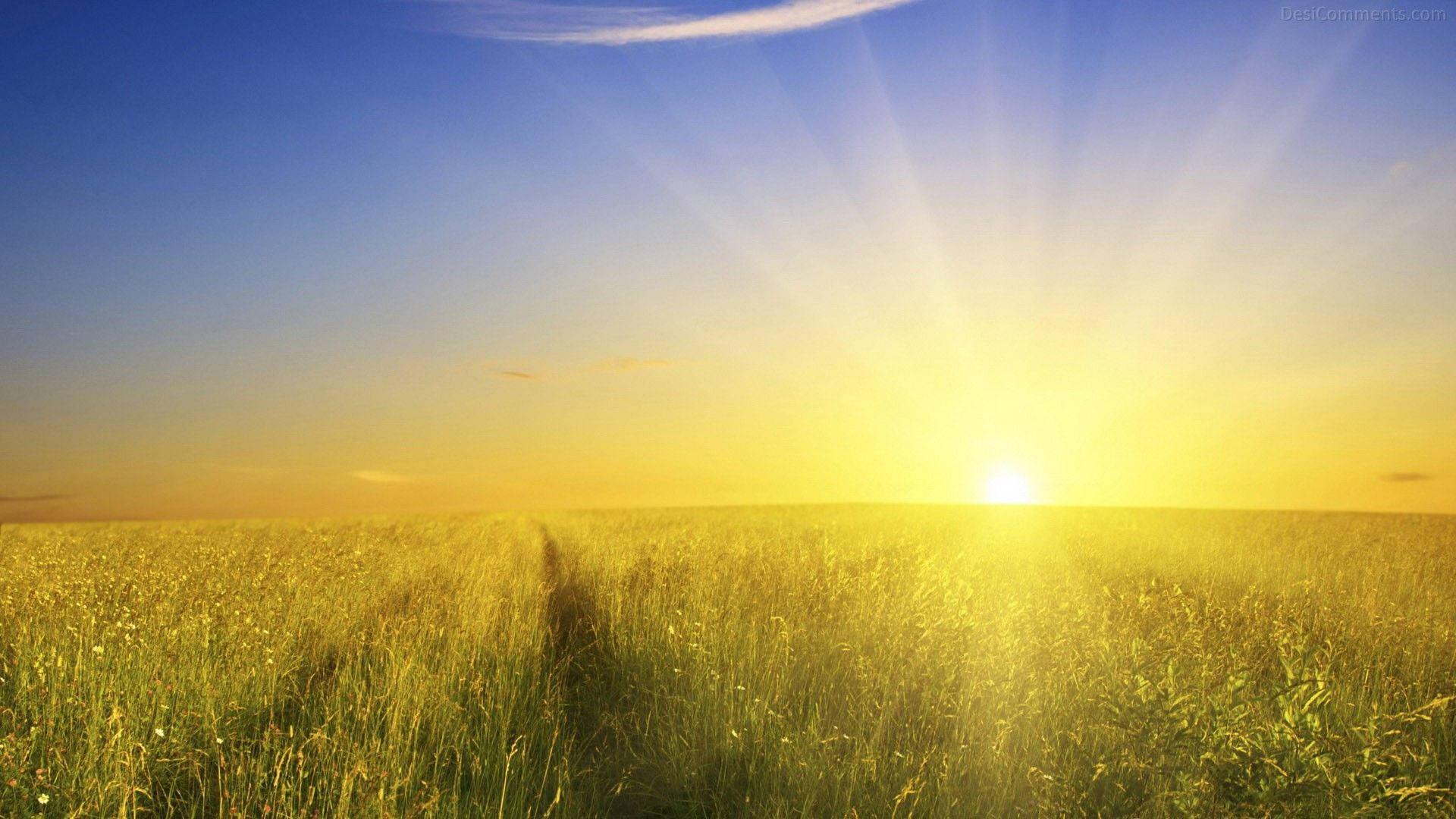 1920x1080 Free Sun Wallpaper Downloads, Sun Wallpaper for FREE