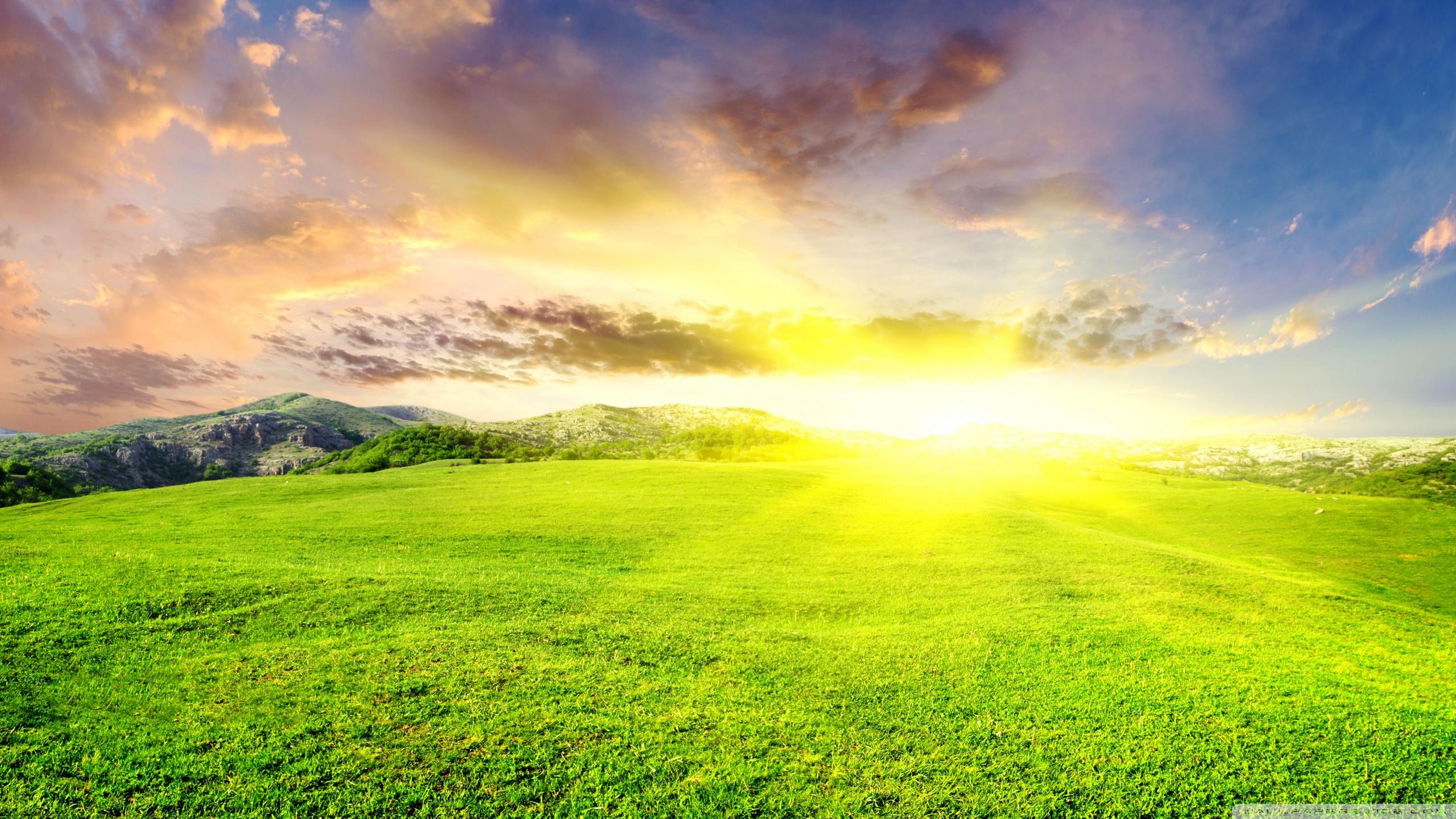 2560x1440 Sun Nature Wallpaper