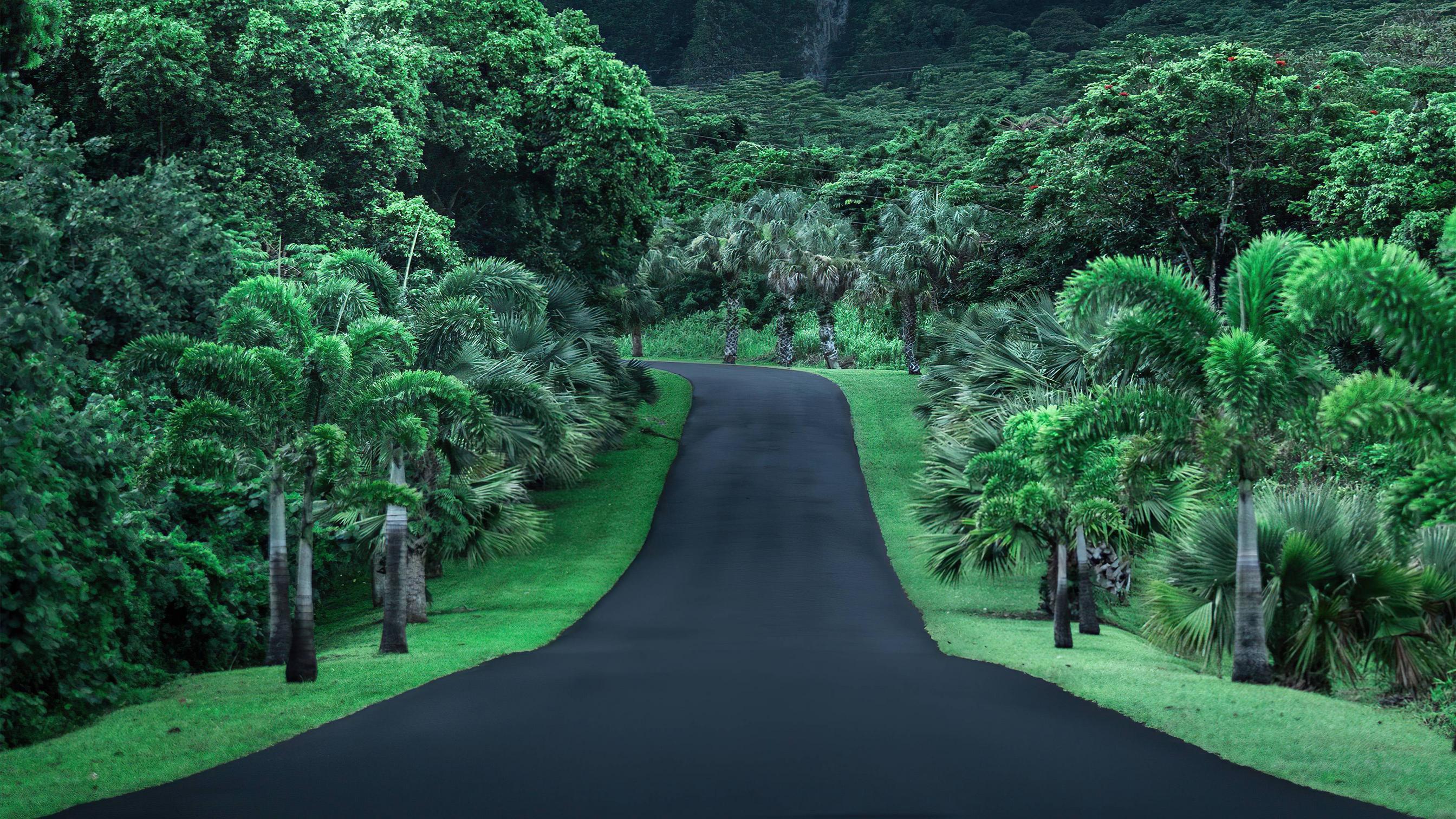 2688x1512 Green Road Nature 4k Wallpaper, HD Nature Wallpaper, 4k Wallpaper, Image, Background, Photos and Picture