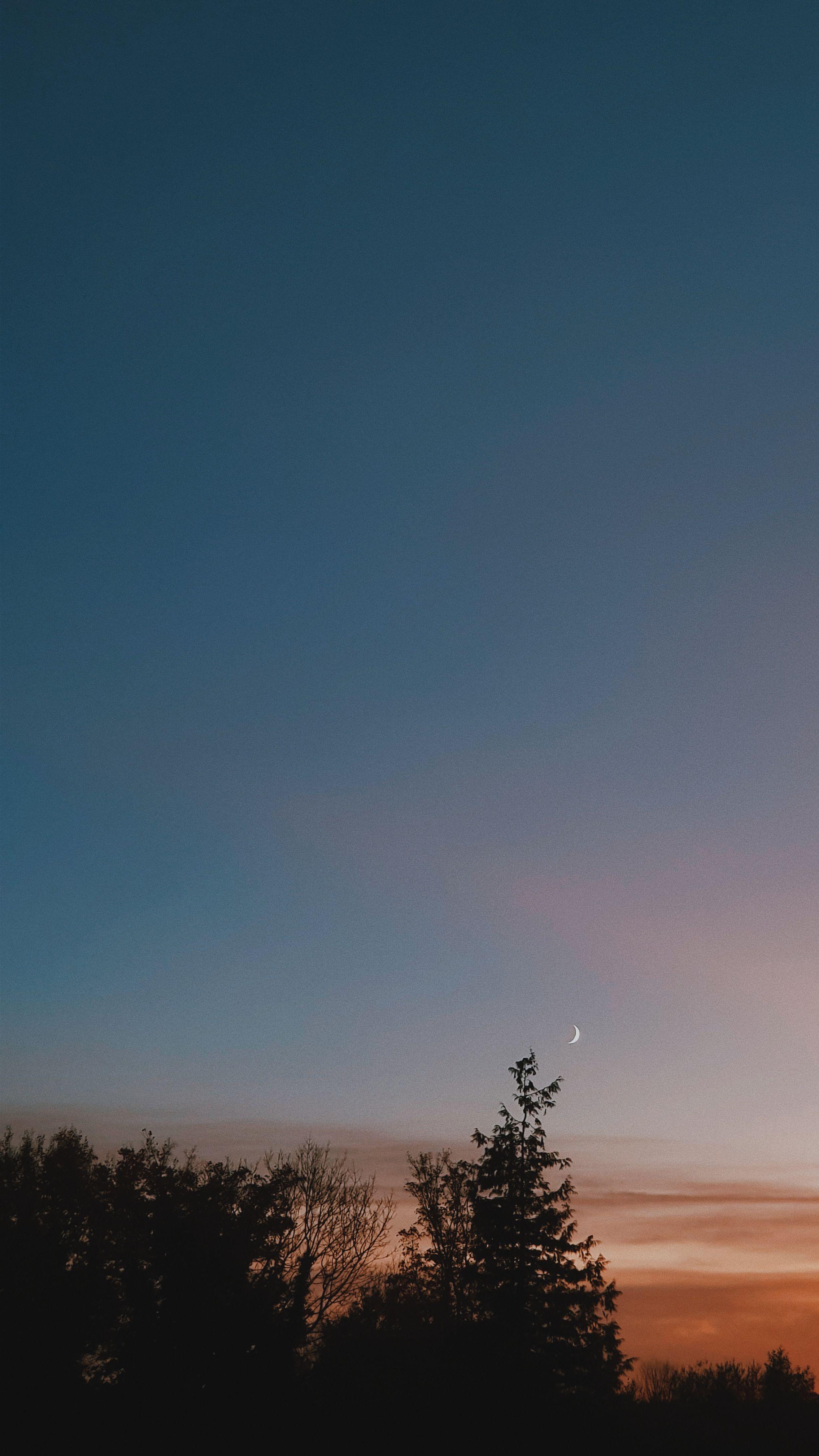 2269x4032 35mm Wallpaper