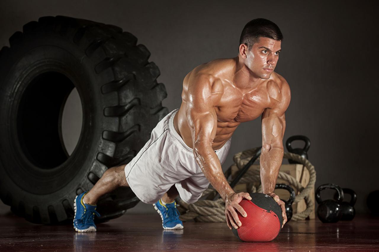 1280x851 Picture Man Muscle Physical exercise sports Bodybuilding Ball