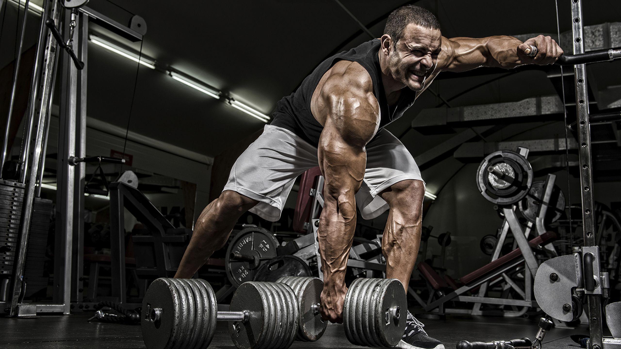 2560x1440 Gym Wallpaper HD High Resolution