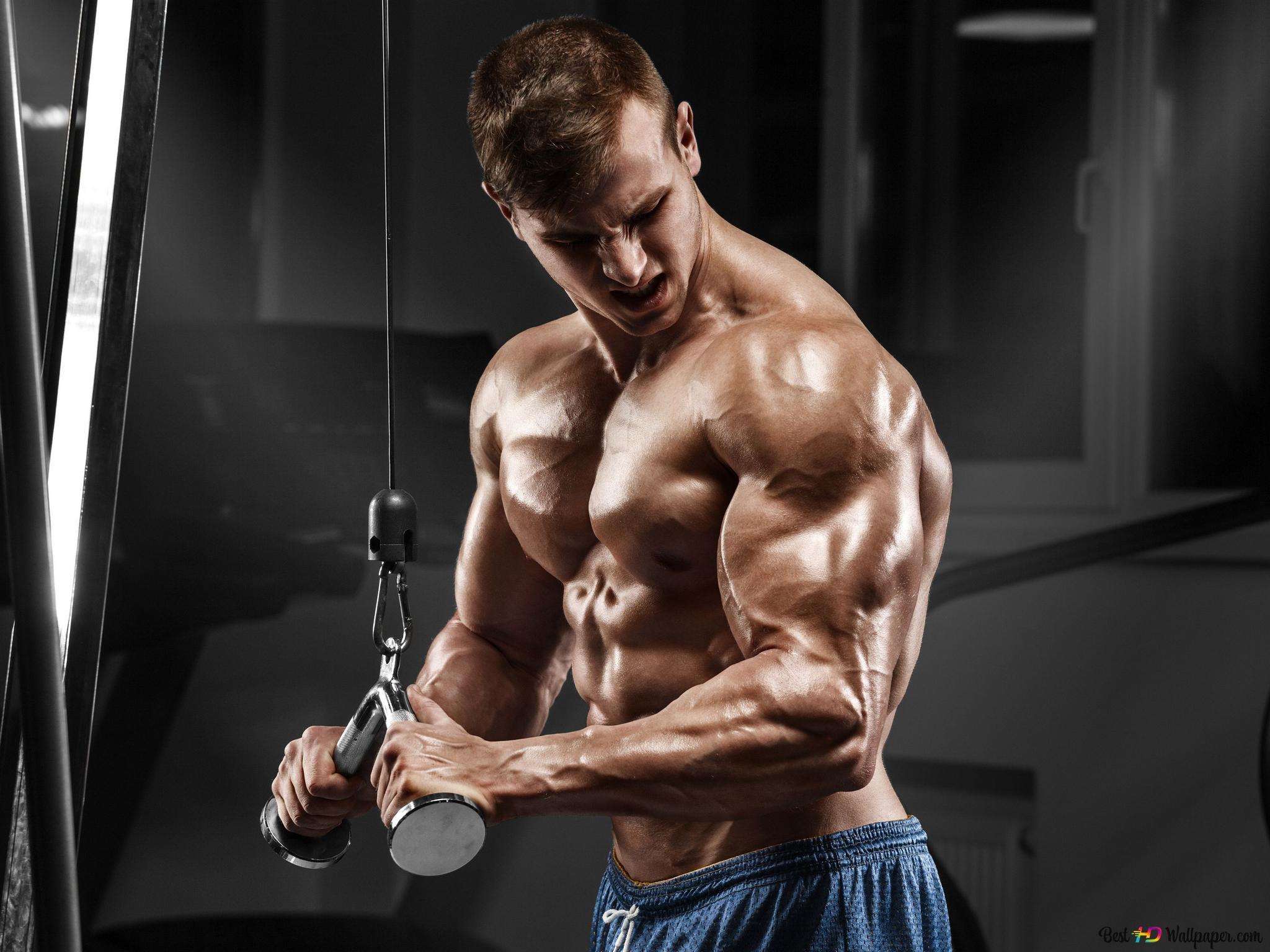 2048x1536 Weight lifter muscular man bodybuilder 2K wallpaper download