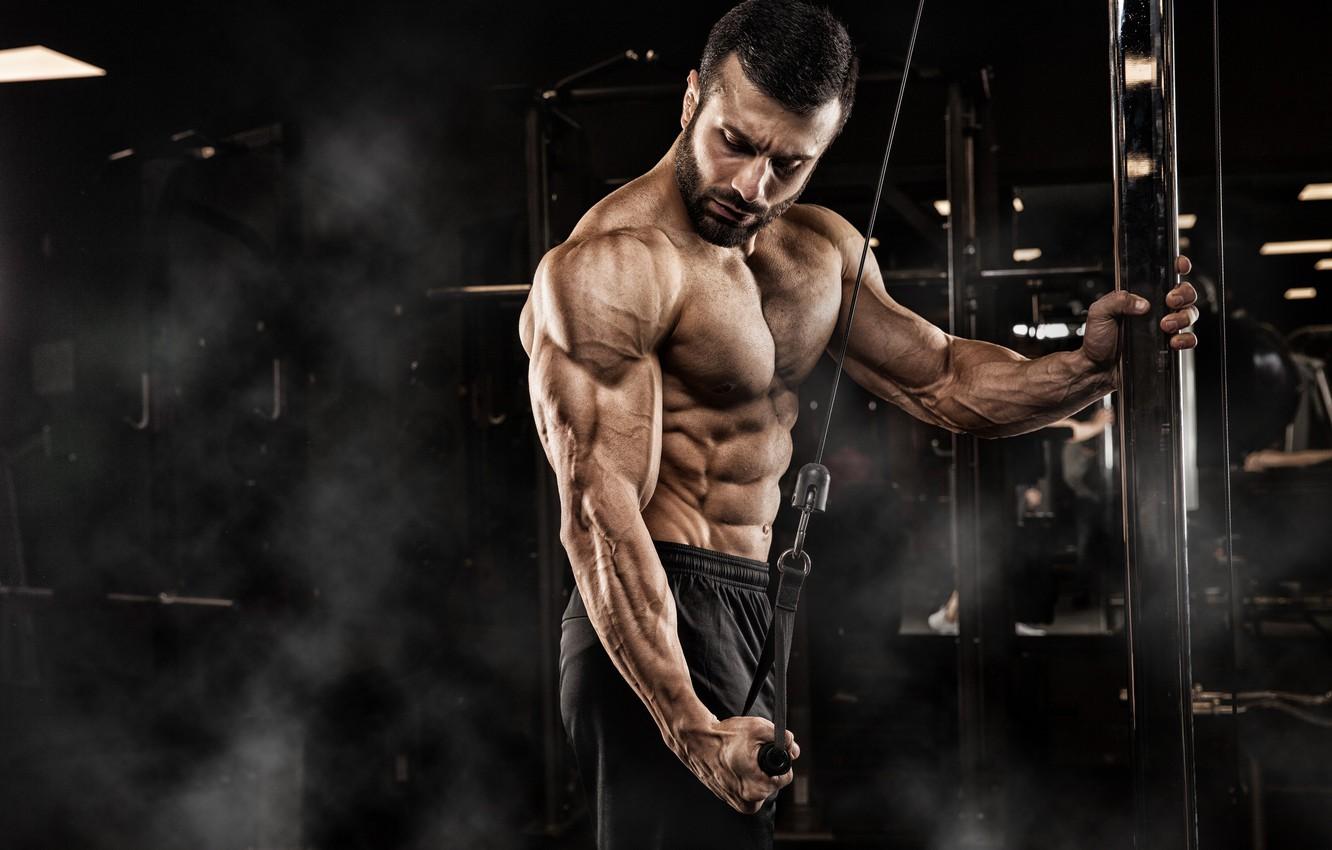 1332x850 Wallpaper look, pose, fitness, muscle, muscle, press, athlete, simulators, biceps, gym, fitness, gym, bodybuilder, training, abs, Gym image for desktop, section спорт