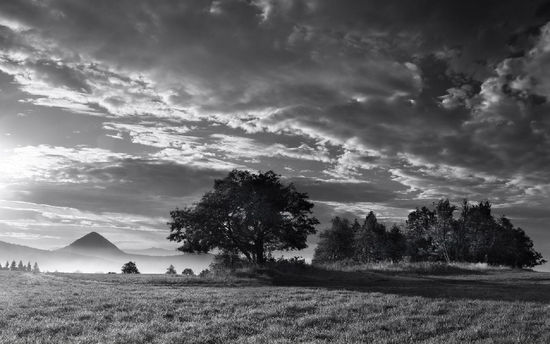 1920x1200 Black And White Nature HD wallpaper