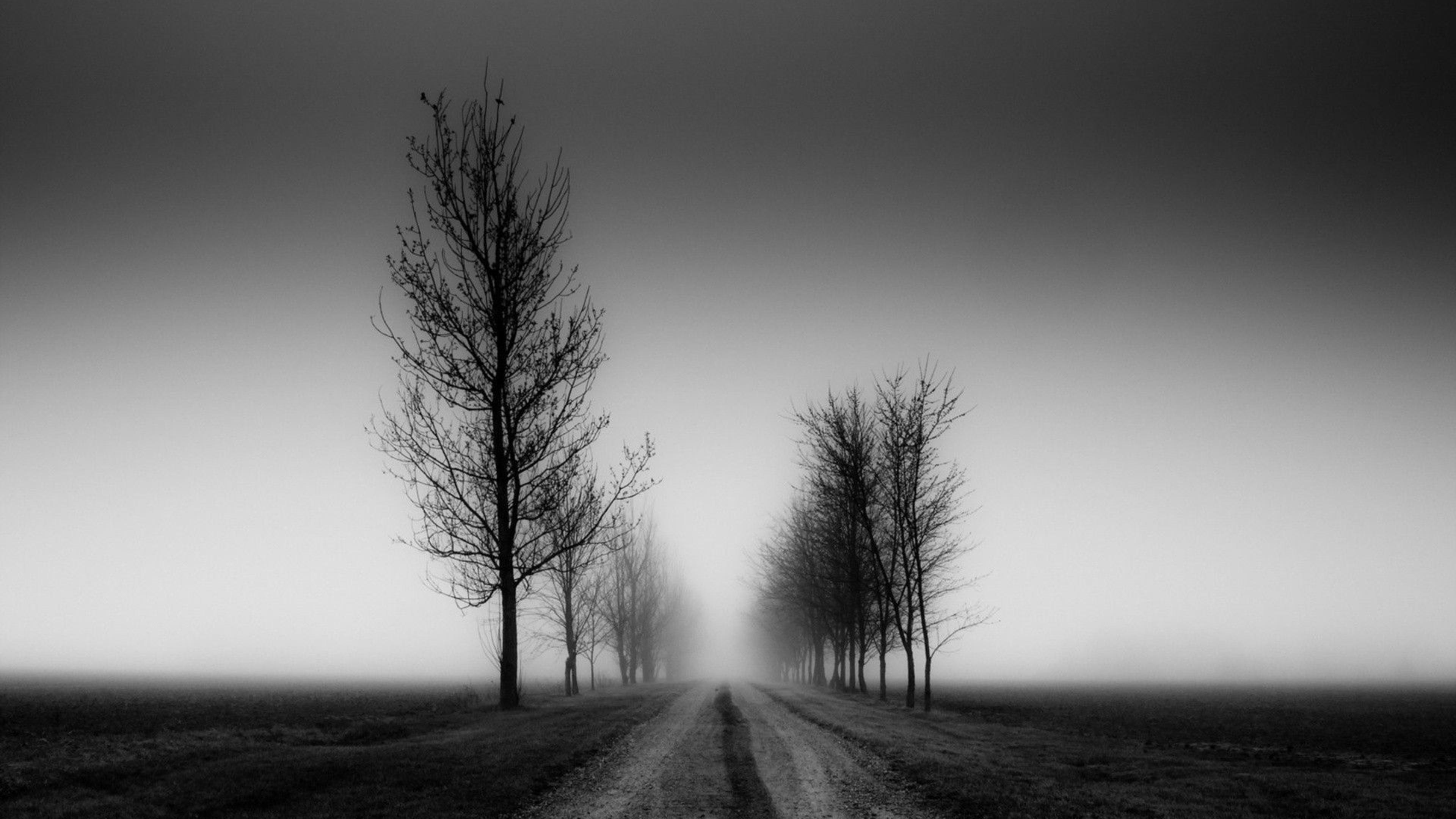 3840x2160 Black and White 4K Wallpaper High Quality