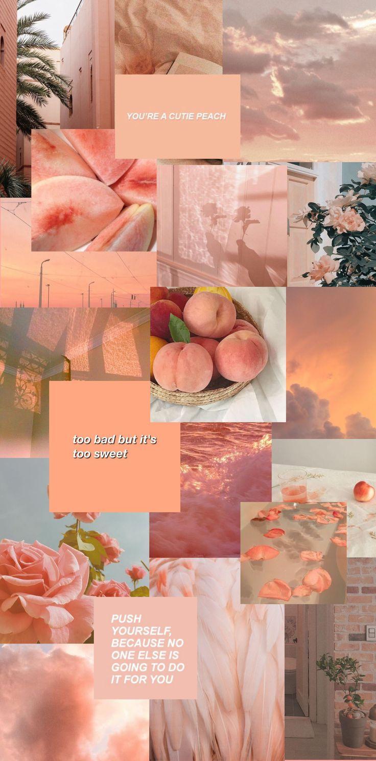 736x1487 Peach Aesthetic Wallpaper. Peach wallpaper, Aesthetic pastel wallpaper, Peach aesthetic