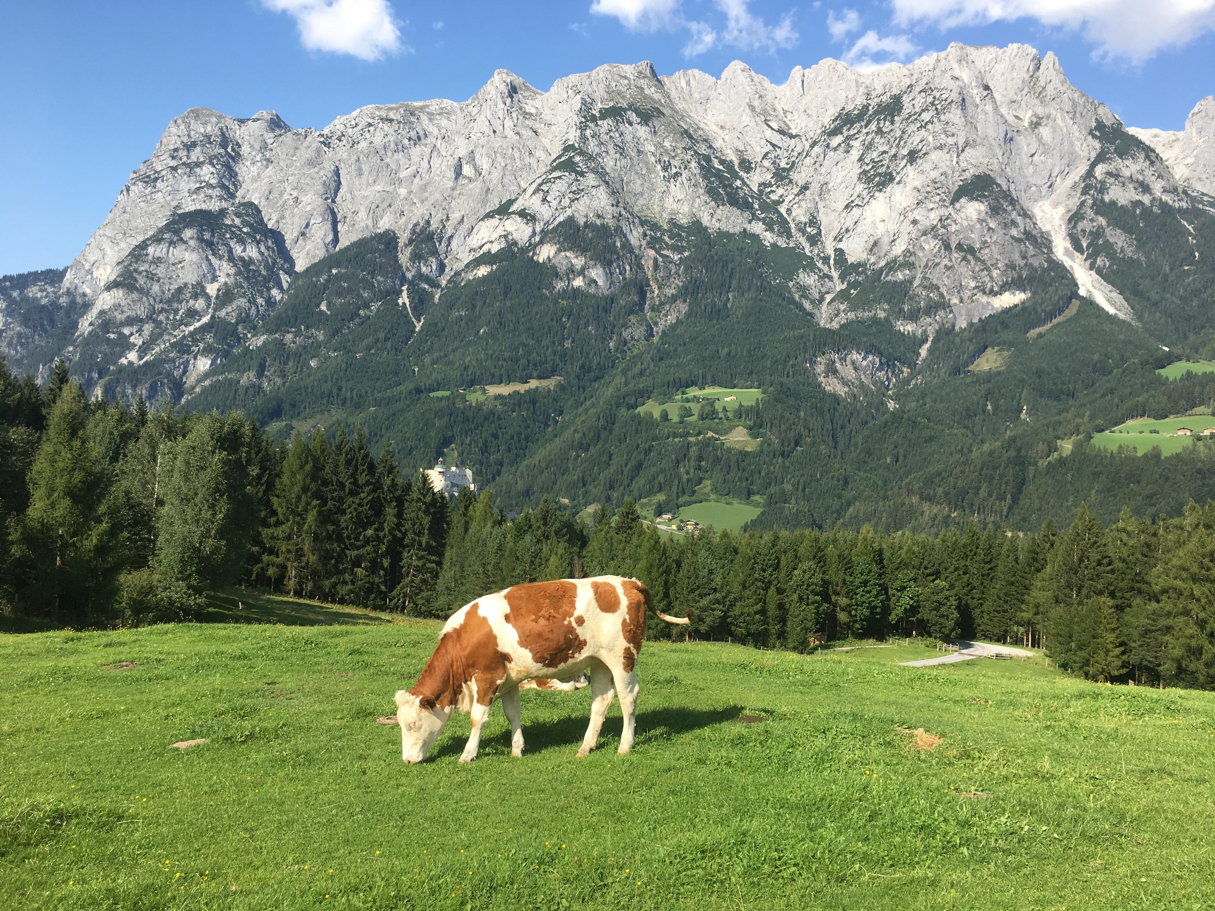 4032x3024 Sound of Music Austrian Alps. Werfen, Austria. [OC] [3264x4228]
