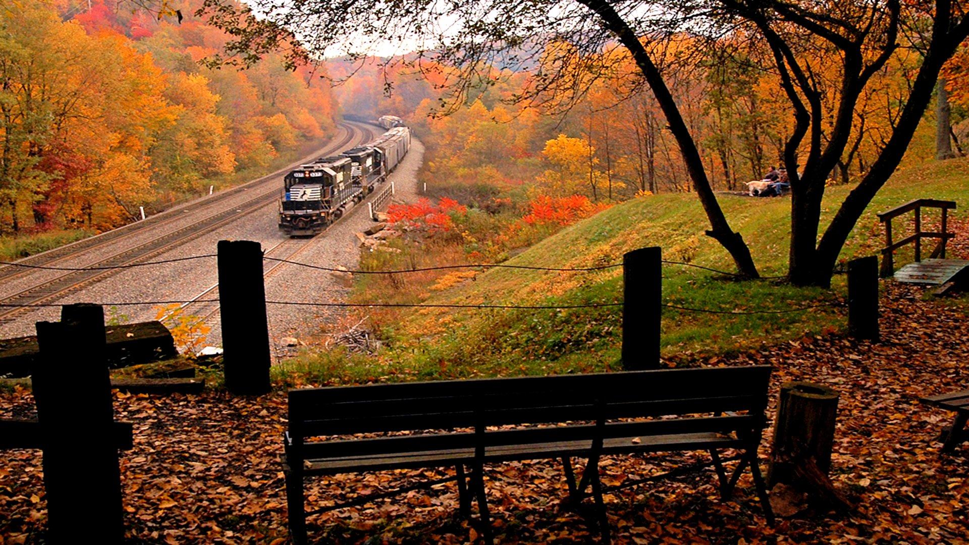1920x1080 Long Train Running Through Autumn Landscape