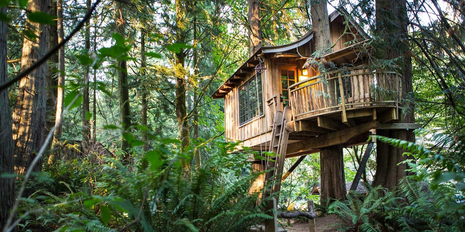 1500x750 Treehouse Hotels That Will Make You Feel Like a Kid Again
