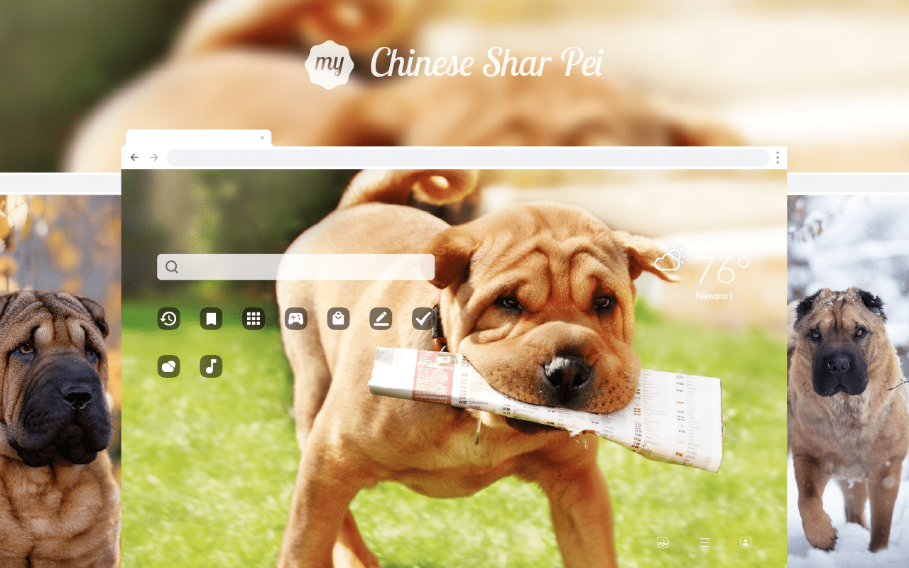 1280x800 My Chinese Shar Pei HD Wallpaper New Tab