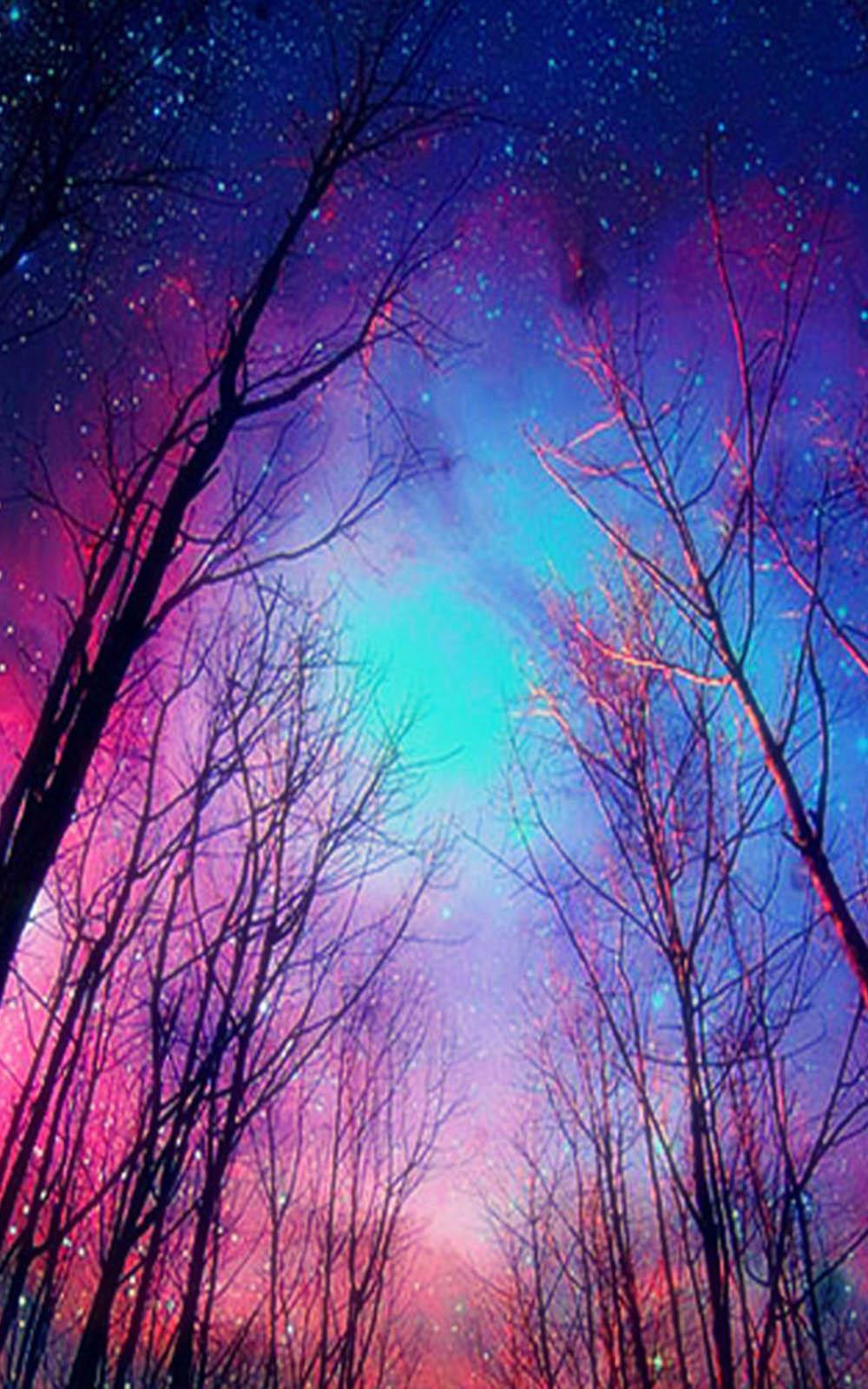 1000x1600 Twilight Night Forest Free HD Mobile Wallpaper