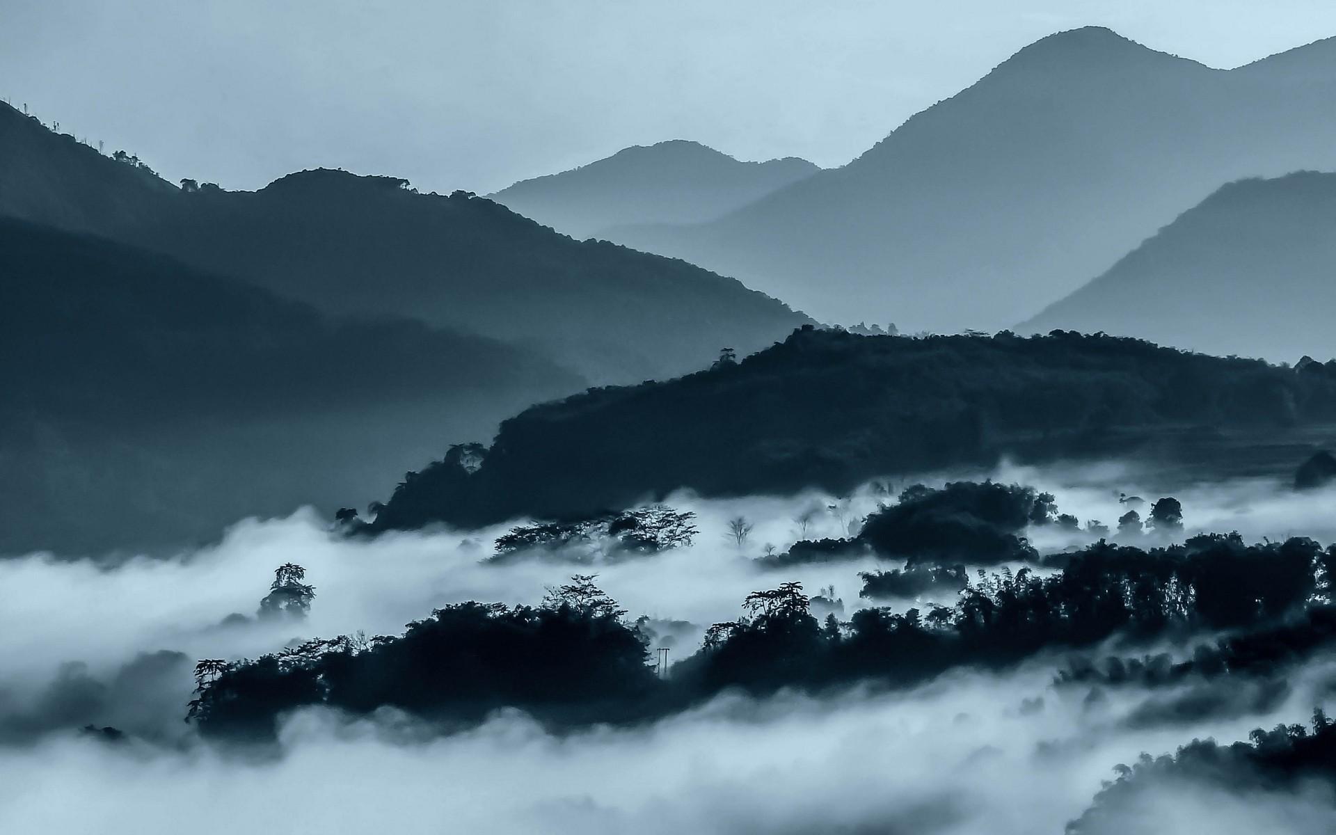 1920x1200 nature forest twilight sunset trees