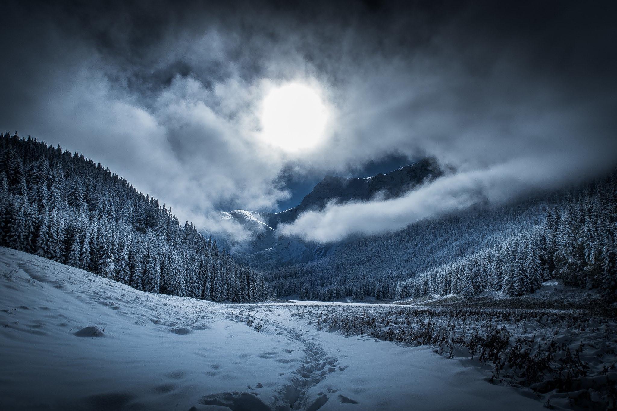 2048x1365 Dramatic Winter Twilight in Forest Wallpaper, HD Nature 4K Wallpaper, Image, Photo and Background