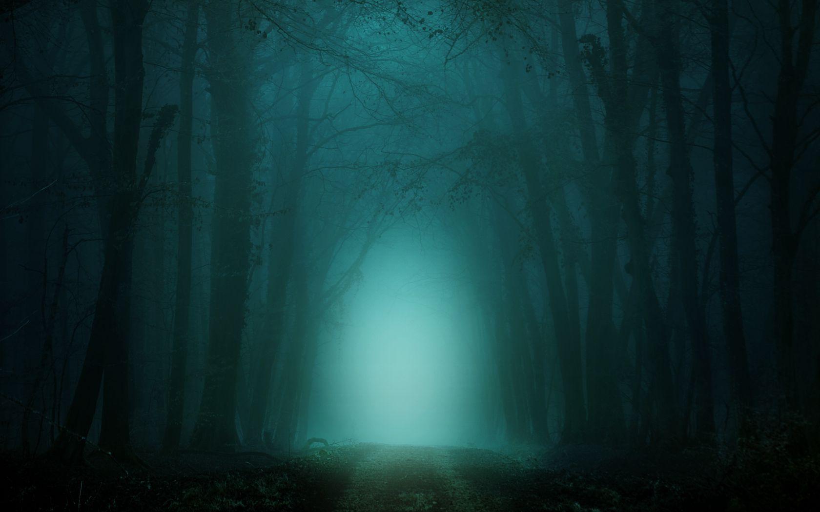 1680x1050 Download wallpaper 1680x1050 forest, fog, path, trees, twilight widescreen 16:10 HD background