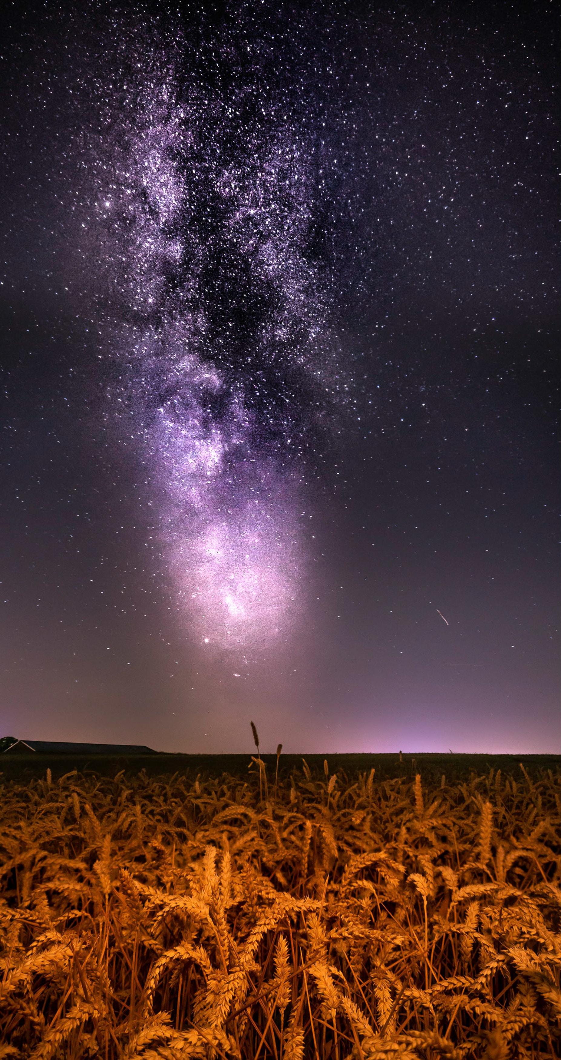 1853x3500 Milky Way Portrait Wallpaper
