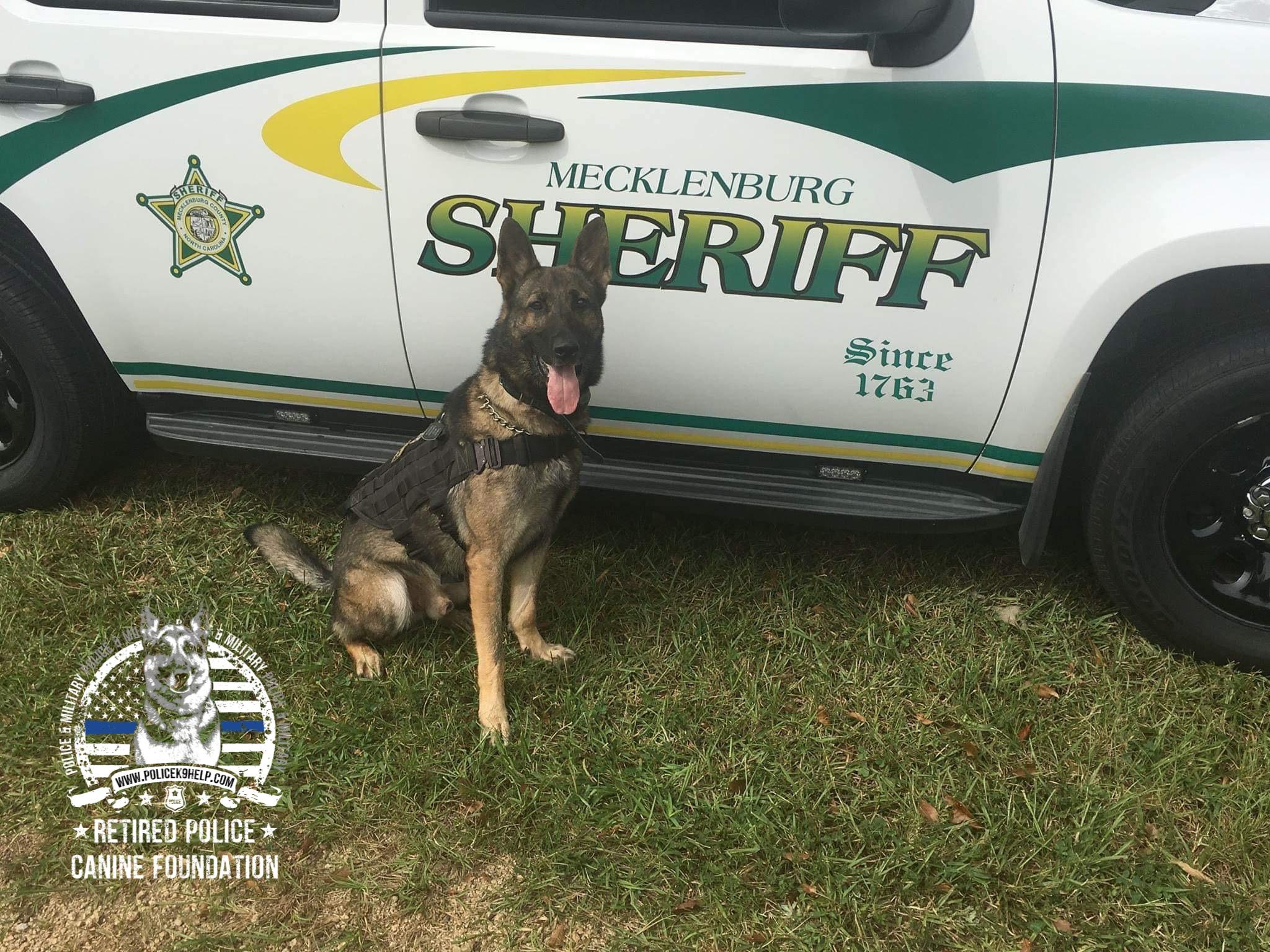 2048x1536 Retired Police Canine Foundation