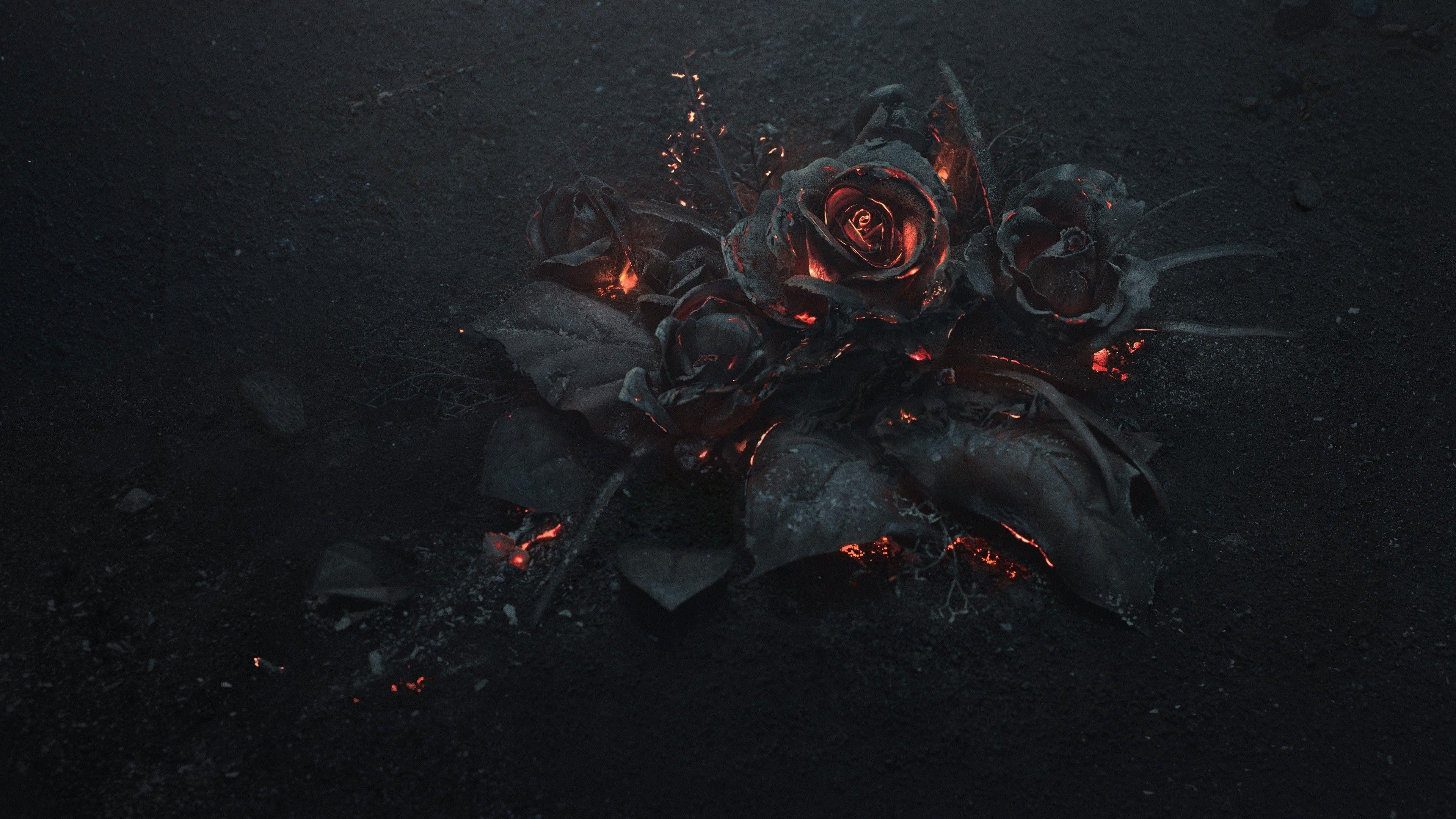 3840x2160 Download 3840x2160 Rose Ashes, Fire, Black, Dark Theme Wallpaper