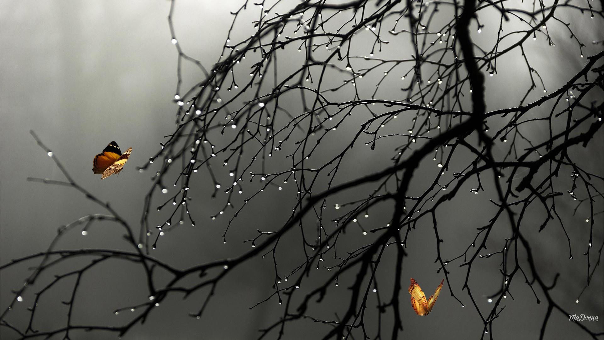 1920x1080 Free download EVE OF MY HEART writingonmyheart [1920x1080] for your Desktop, Mobile & Tablet. Explore Grief Wallpaper