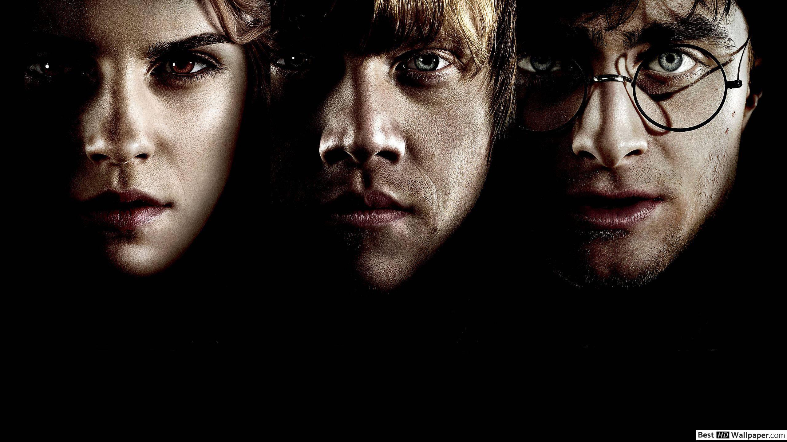 2560x1440 Harry Potter Movie HD wallpaper download