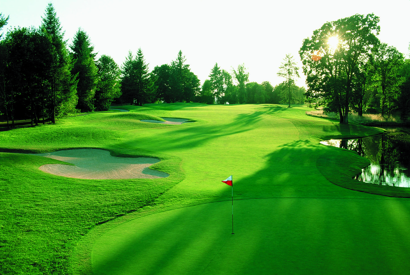 1438x966 Golf Course Wallpaper