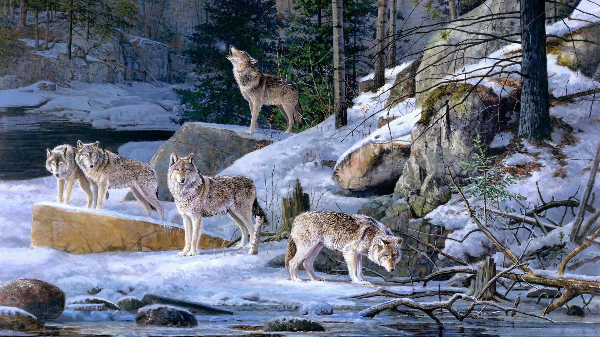 1920x1080 Pack of Wolves