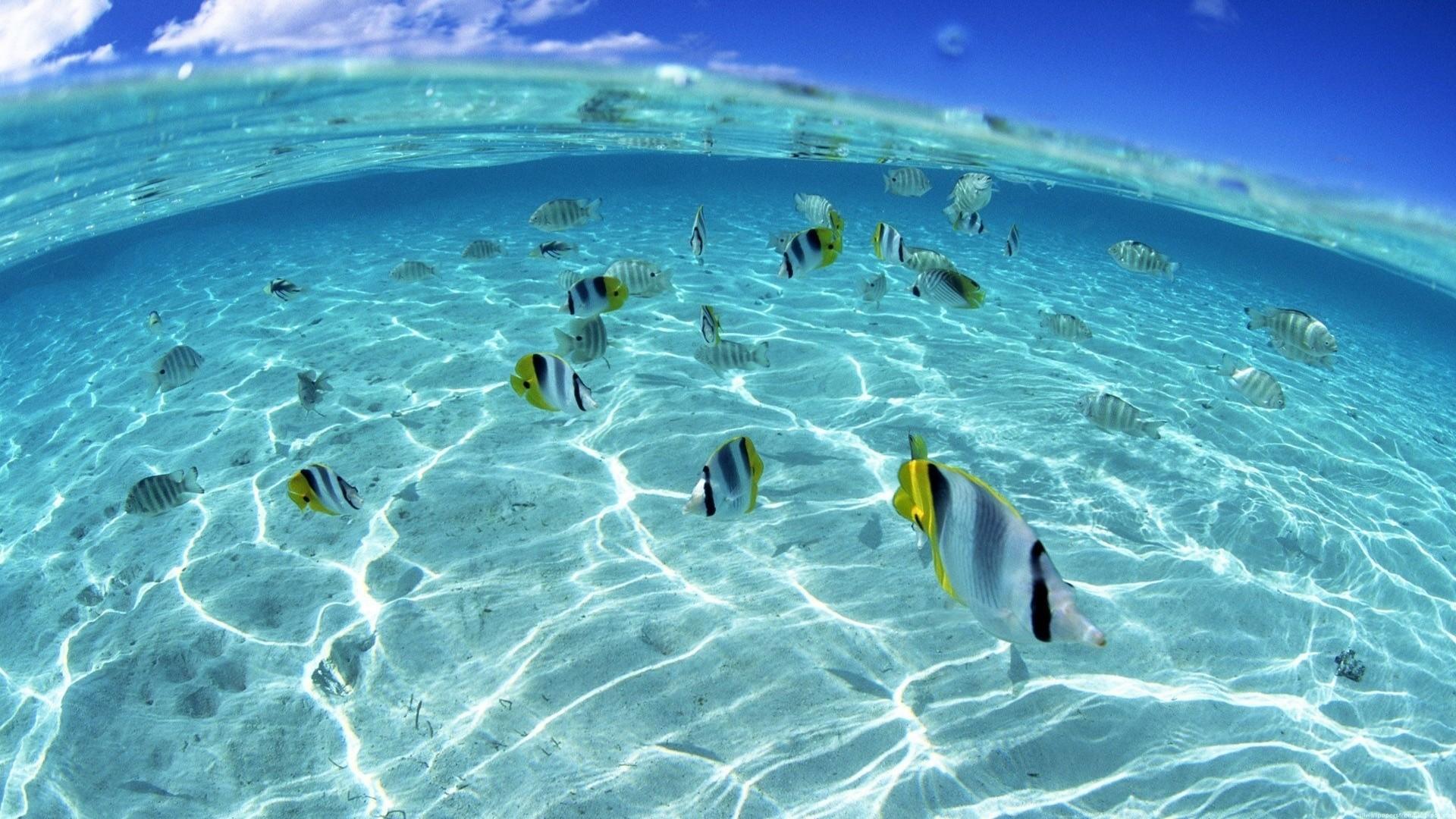 1920x1080 Ocean Wallpaper Background