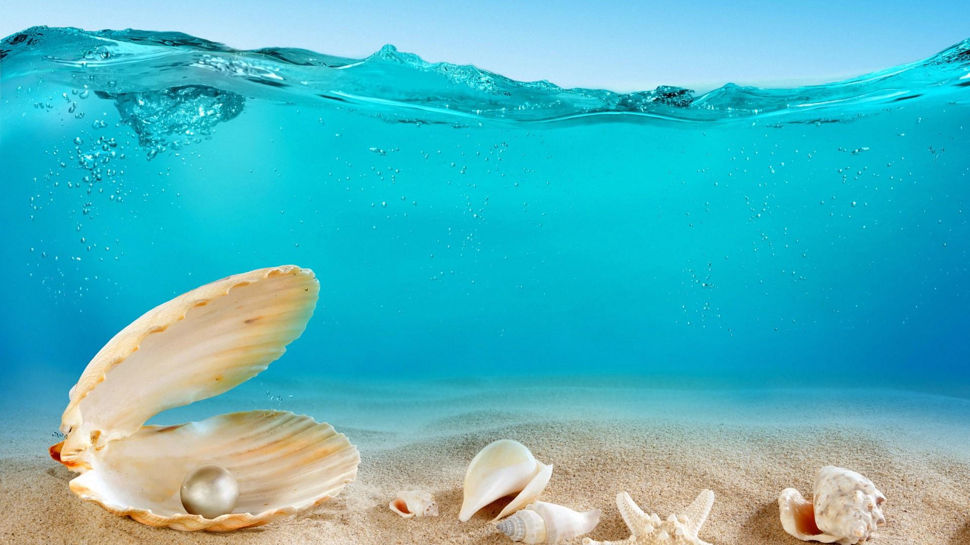 1920x1080 Inside Sea Wallpaper