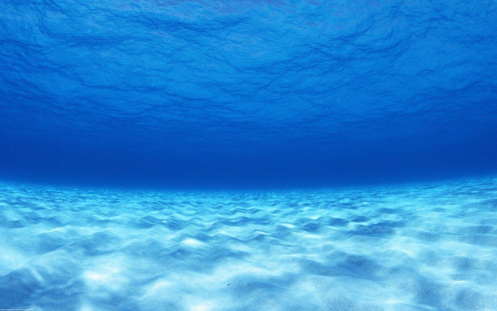 1728x1080 Under water wallpaper Wide HD Wallpaper. Fotos submarinas, Plataforma continental, Fondo de mar