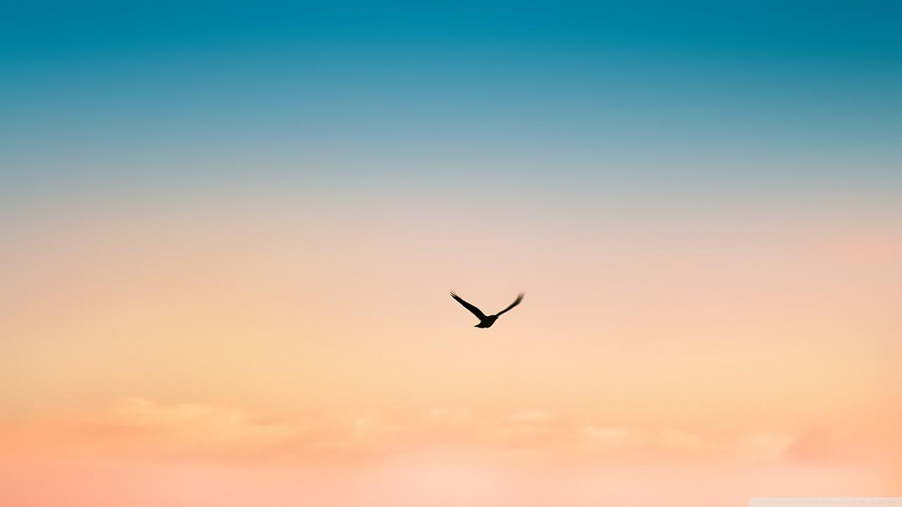 1280x720 R.M Ultra HD Desktop Background Wallpaper for 4K UHD TV : Widescreen & UltraWide Desktop & Laptop : Tablet