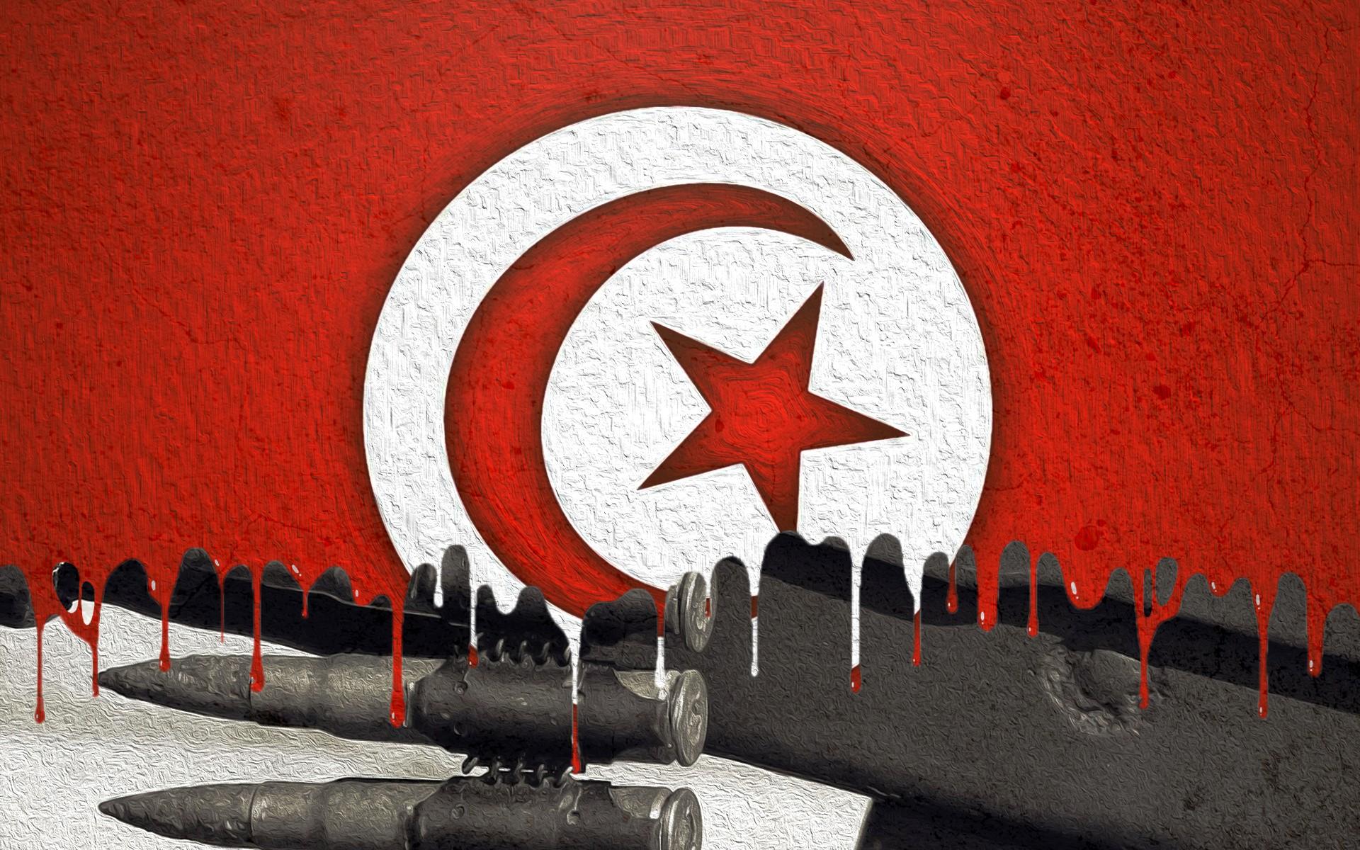 1920x1200 Tunisia, Flag, Army Wallpaper HD / Desktop and Mobile Background