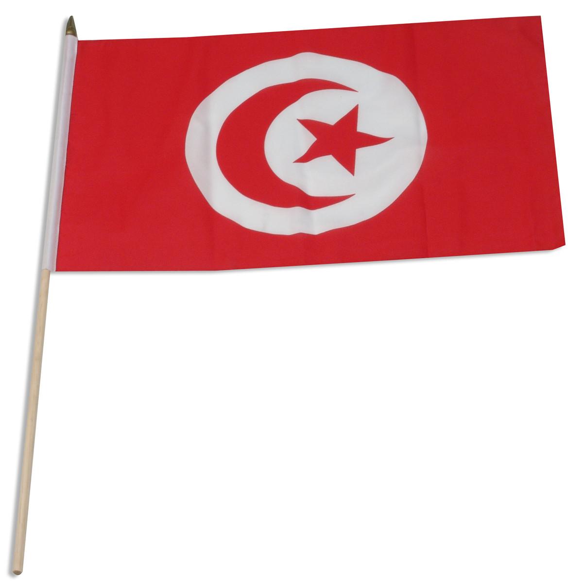 1200x1200 Tunisia 12in x 18in Polyester Flag