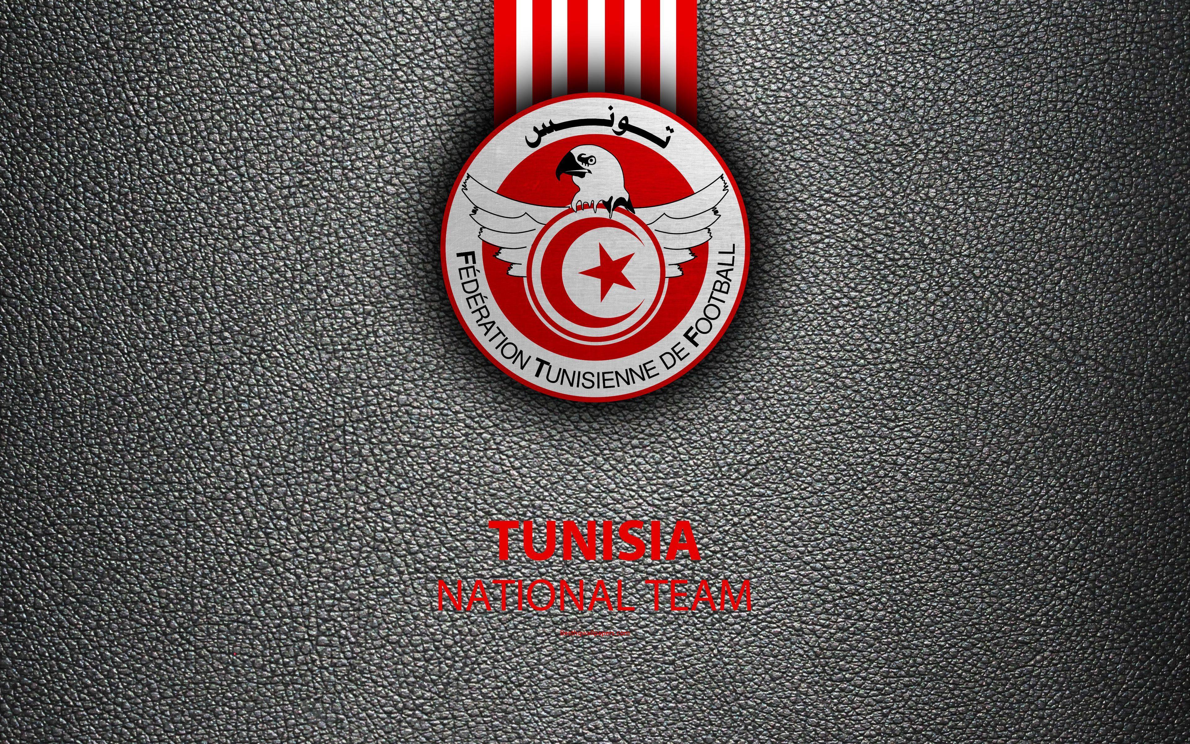 3840x2400 Download Grey Tunisia National Football Team Logo Wallpaper