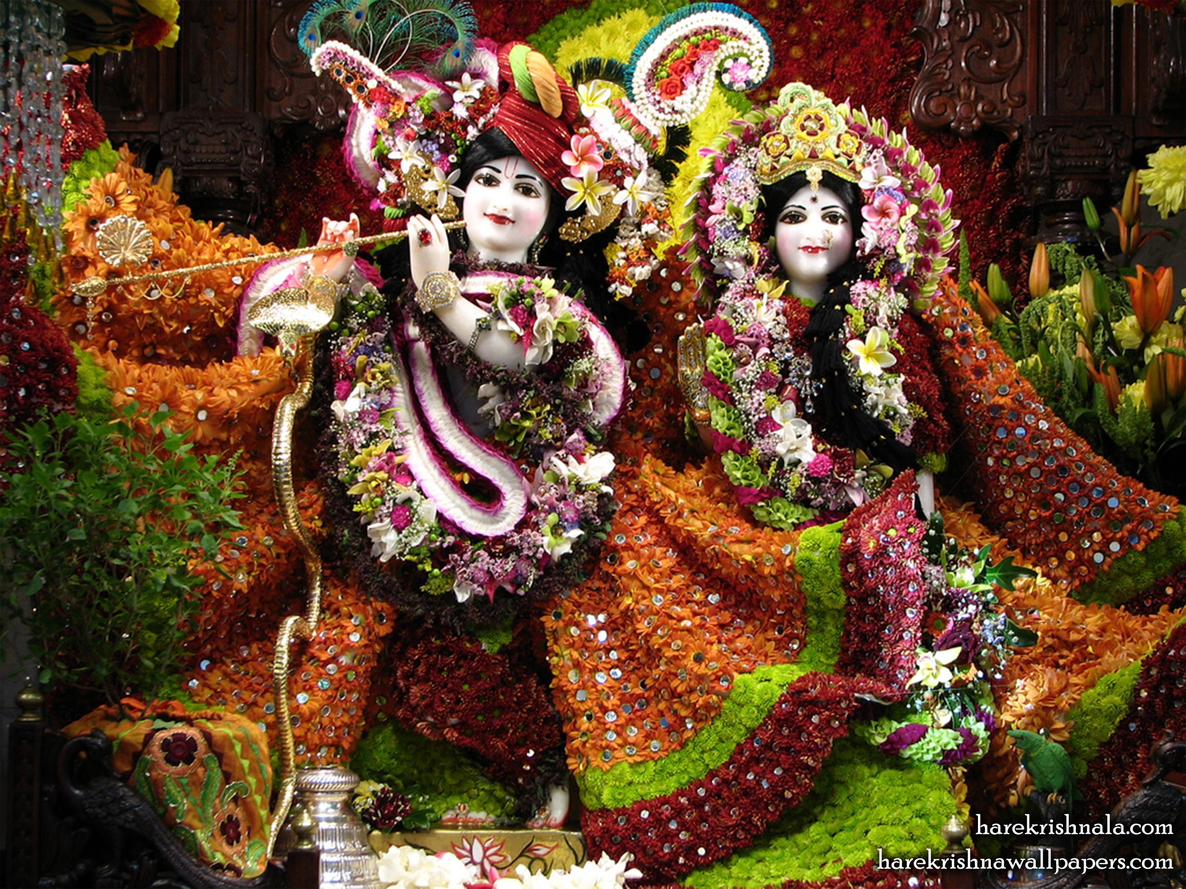 2400x1800 Sri Sri Rukmini Dwarkadhish Wallpaper