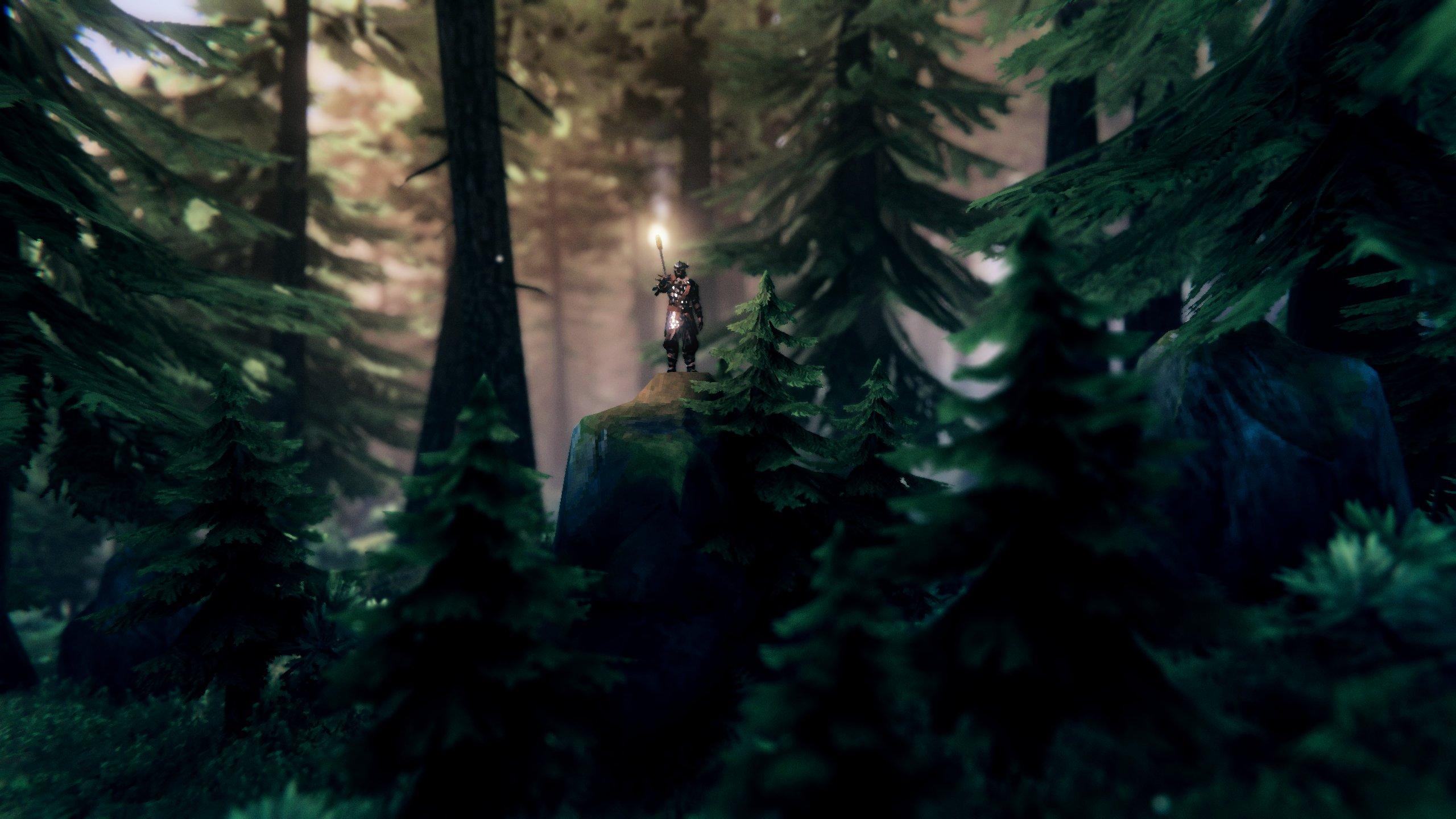 2560x1440 Valheim Picture Down in the Forests by Valheim Picture #ReShade #ValheimGame #ValheimScreenshot #Valheim #Valhiem #ヴァルヘイム #Viking #BlackForest #Forest #Survival #Atmospheric #Scenic #Nature #Screenshot #Picture #Wallpaper