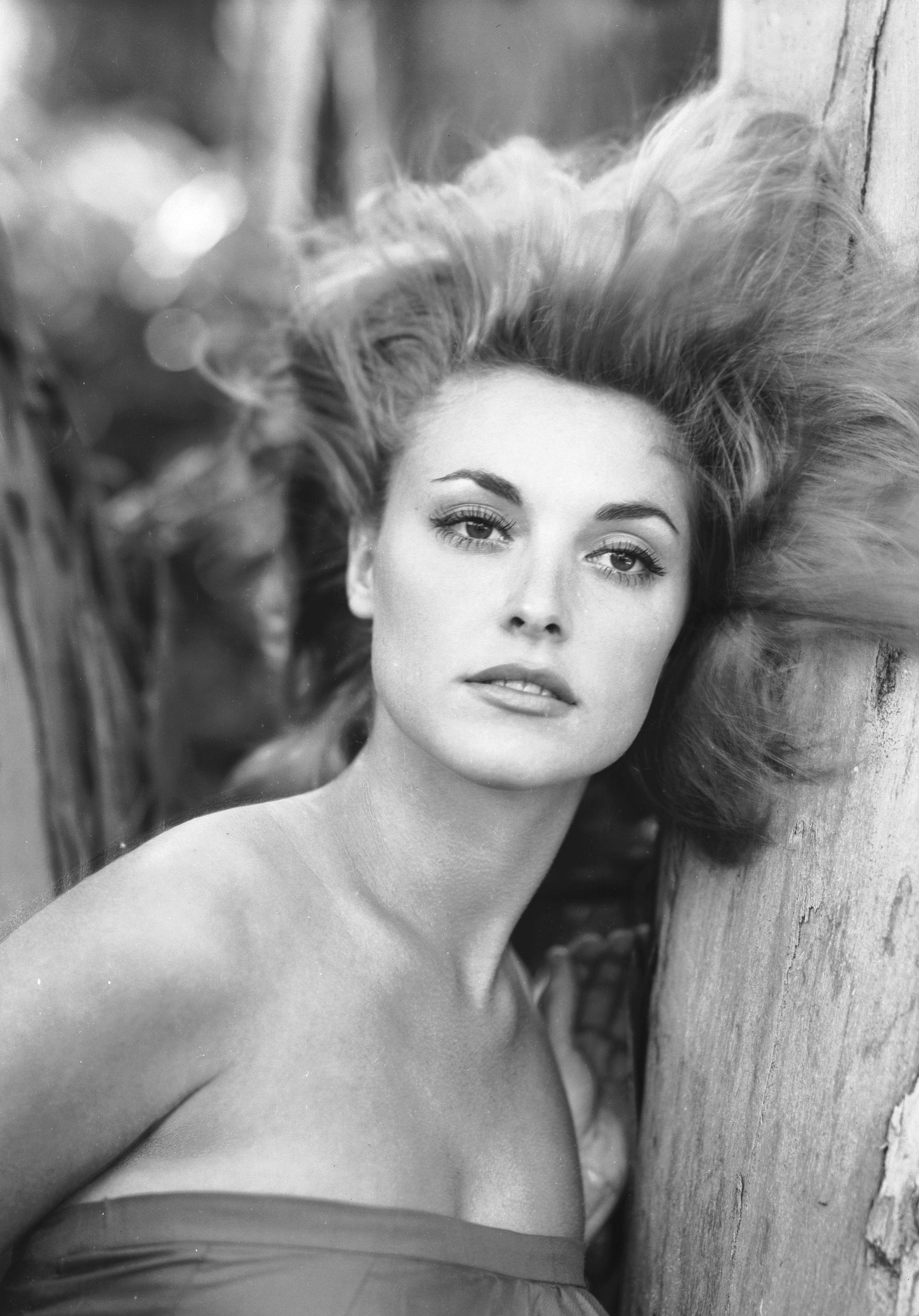 2653x3798 Rare Photo of Sharon Tate Tate Picture