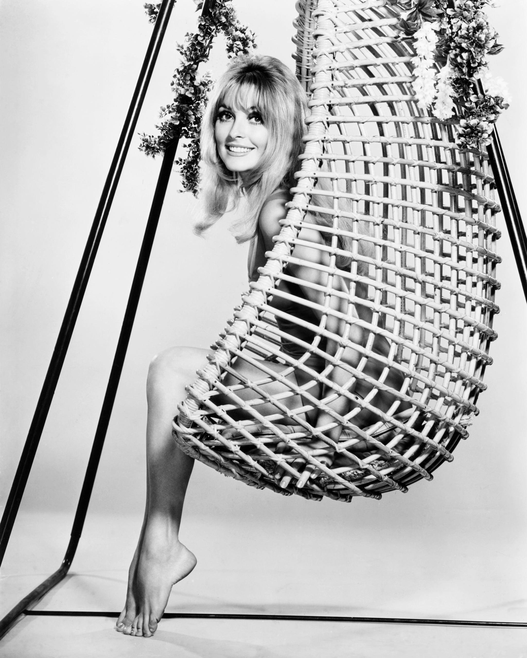 2048x2559 Celebrity & Entertainment. Look Back on Sharon Tate's Tragically Short Life, in Picture. Celebrity Photo 3