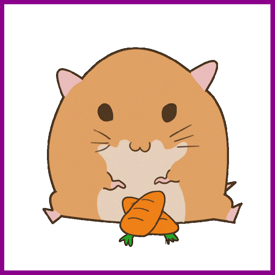 907x907 Cartoon Pig Gif Wallpaper
