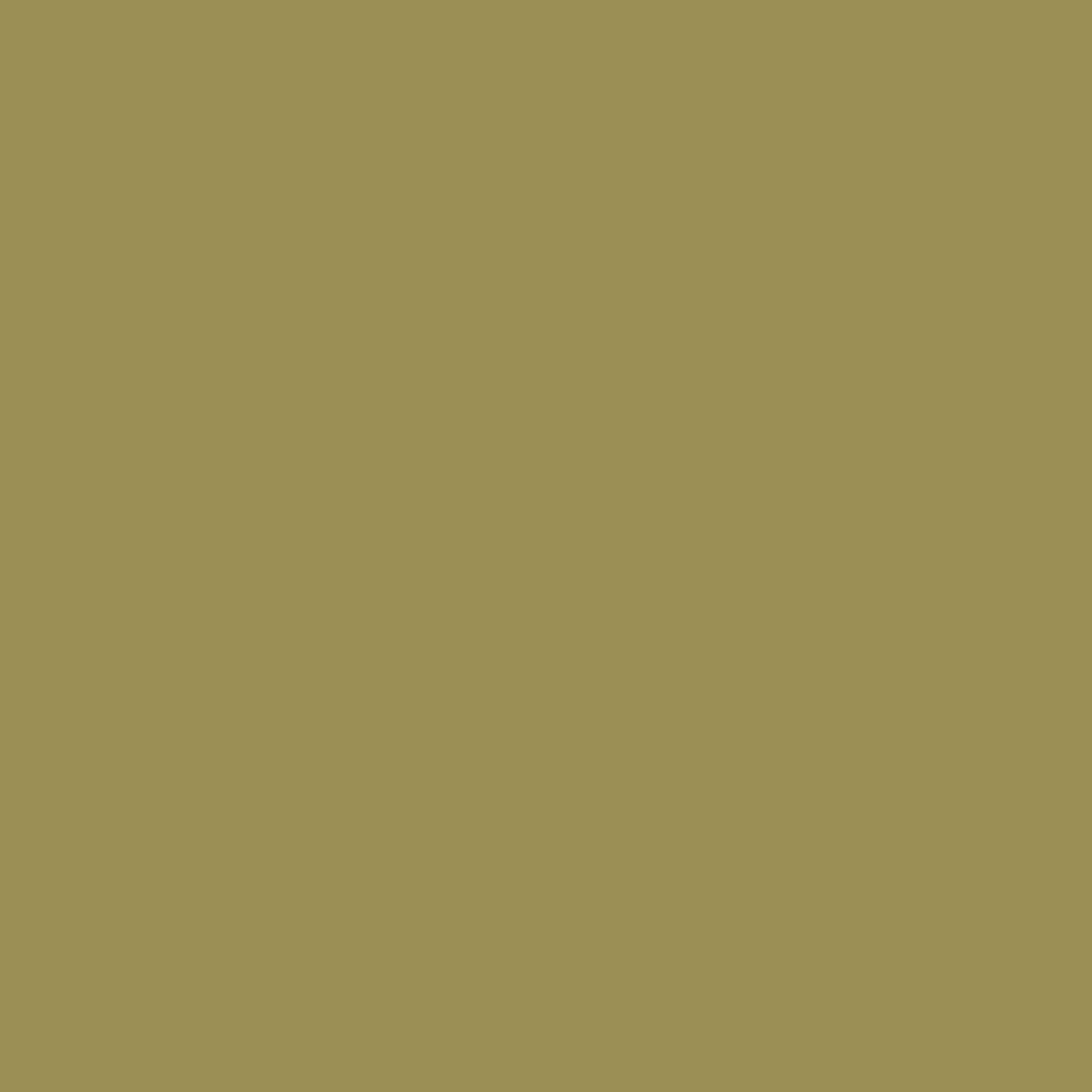 1920x1920 Download free photo of Wallpaper, dark, khaki, color, background