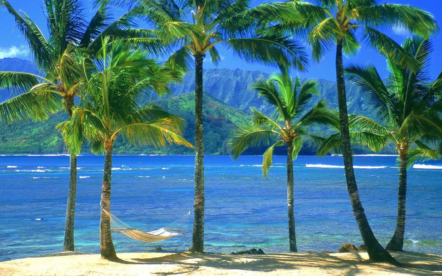 1440x900 Hawaii Free Wallpaper