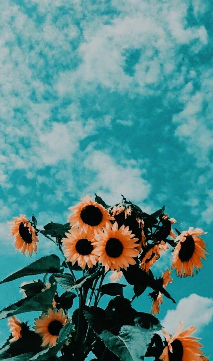 736x1245 Aesthetic #sky #pretty #flowers #nature #background #summer Entry 327. Sunflower Wallpaper, Painting Wallpaper, Aesthetic Iphone Wallpaper