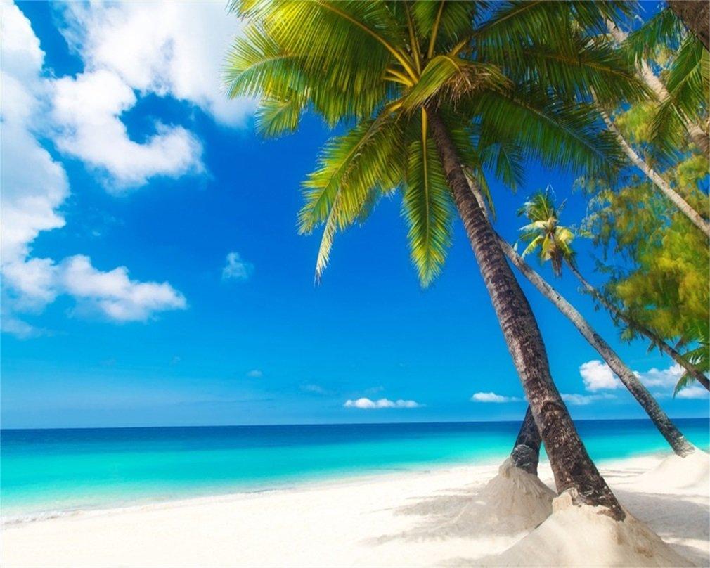 1010x808 AOFOTO 10x8ft Sea Beach Photography Background Hawaiian Luau Seaside Palmtree Backdrop Vacation Trip Blue Sky Summer Holiday Boy Girl Lovers Adult Portrait Wedding Photo Studio Props Vinyl Wallpaper : Everything Else