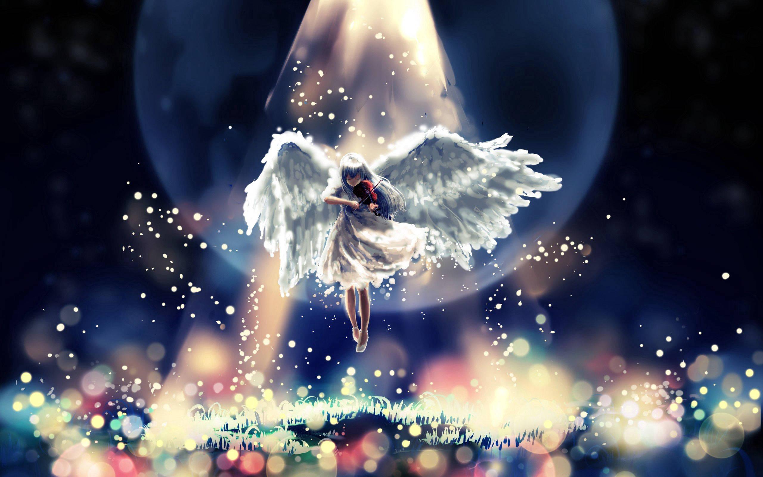 2560x1600 Download Angel Wallpaper